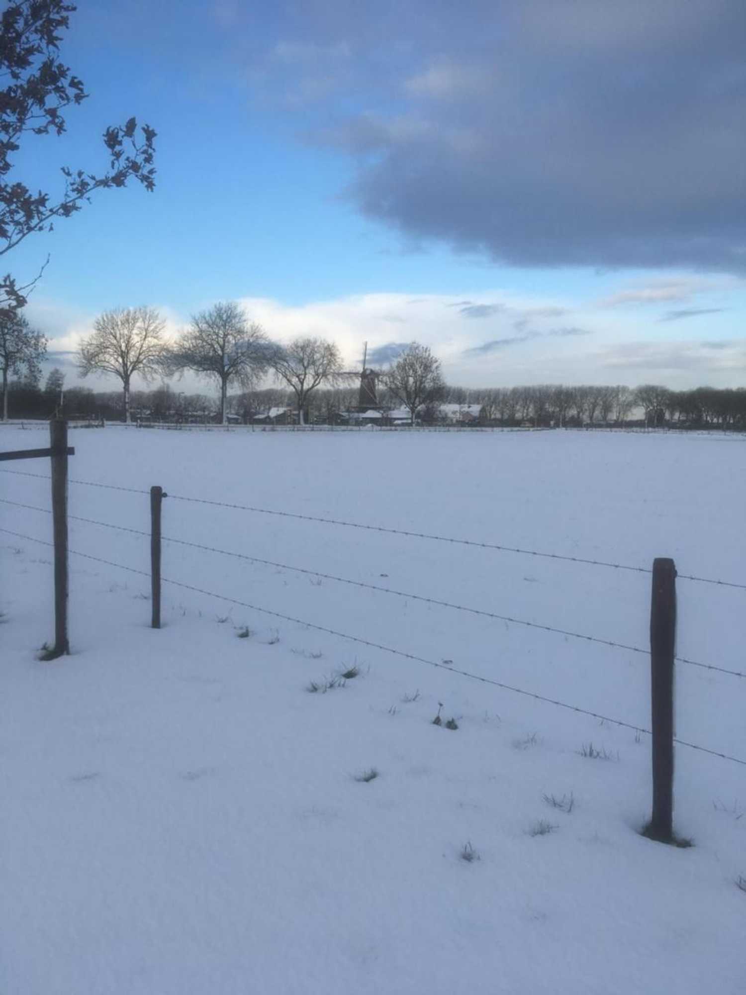 Gift card for Het Pelikaantje