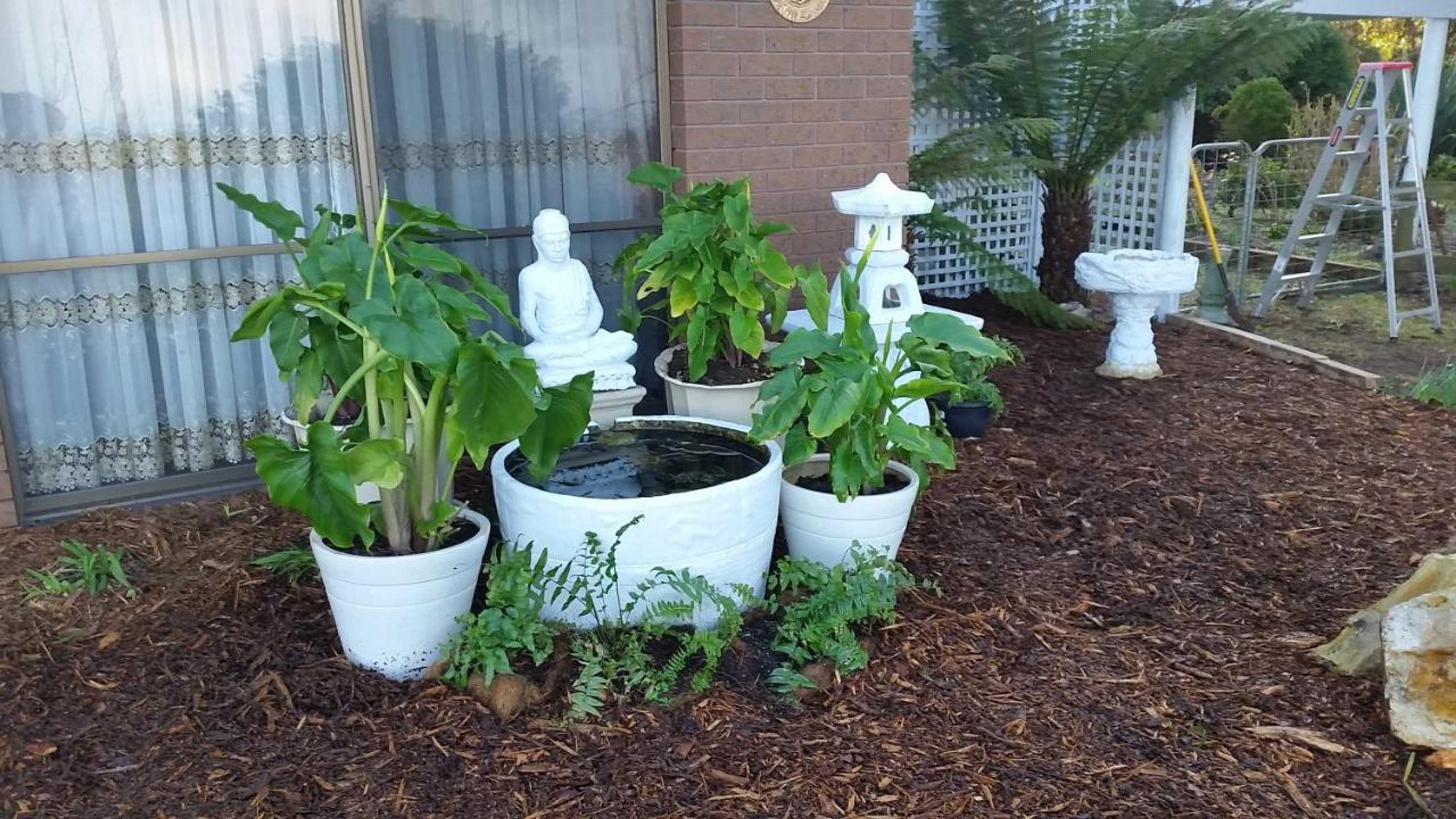 Gift card for Heavenly Farm B & B Tasmania