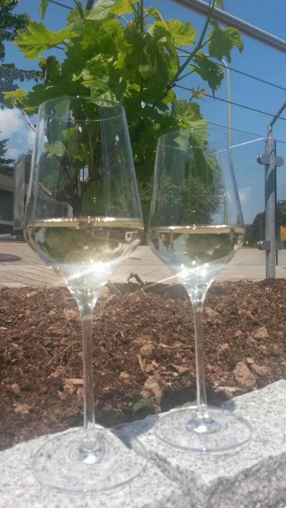 Gift card for Kragemann Hotel & Vinothek