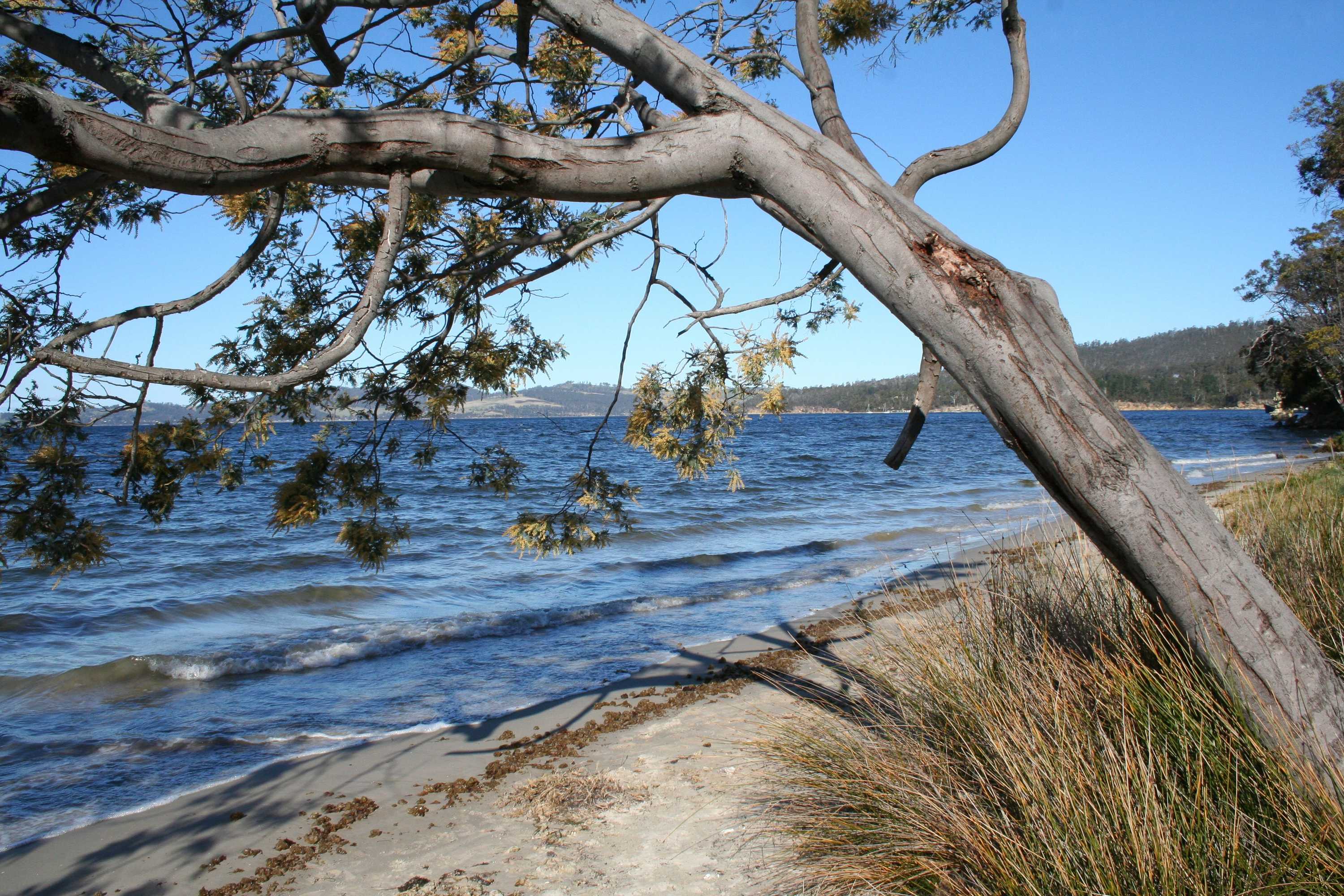 Gift card for Snug Beach Cabin And Caravan Park