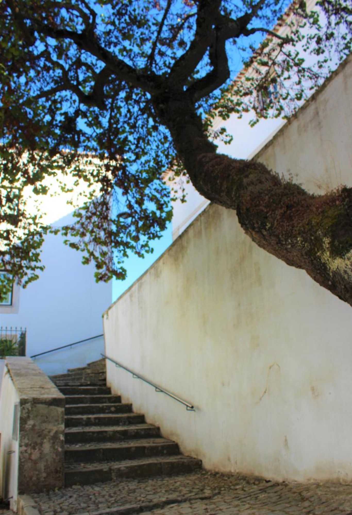 Gift card for Casa do Castelo Ourém