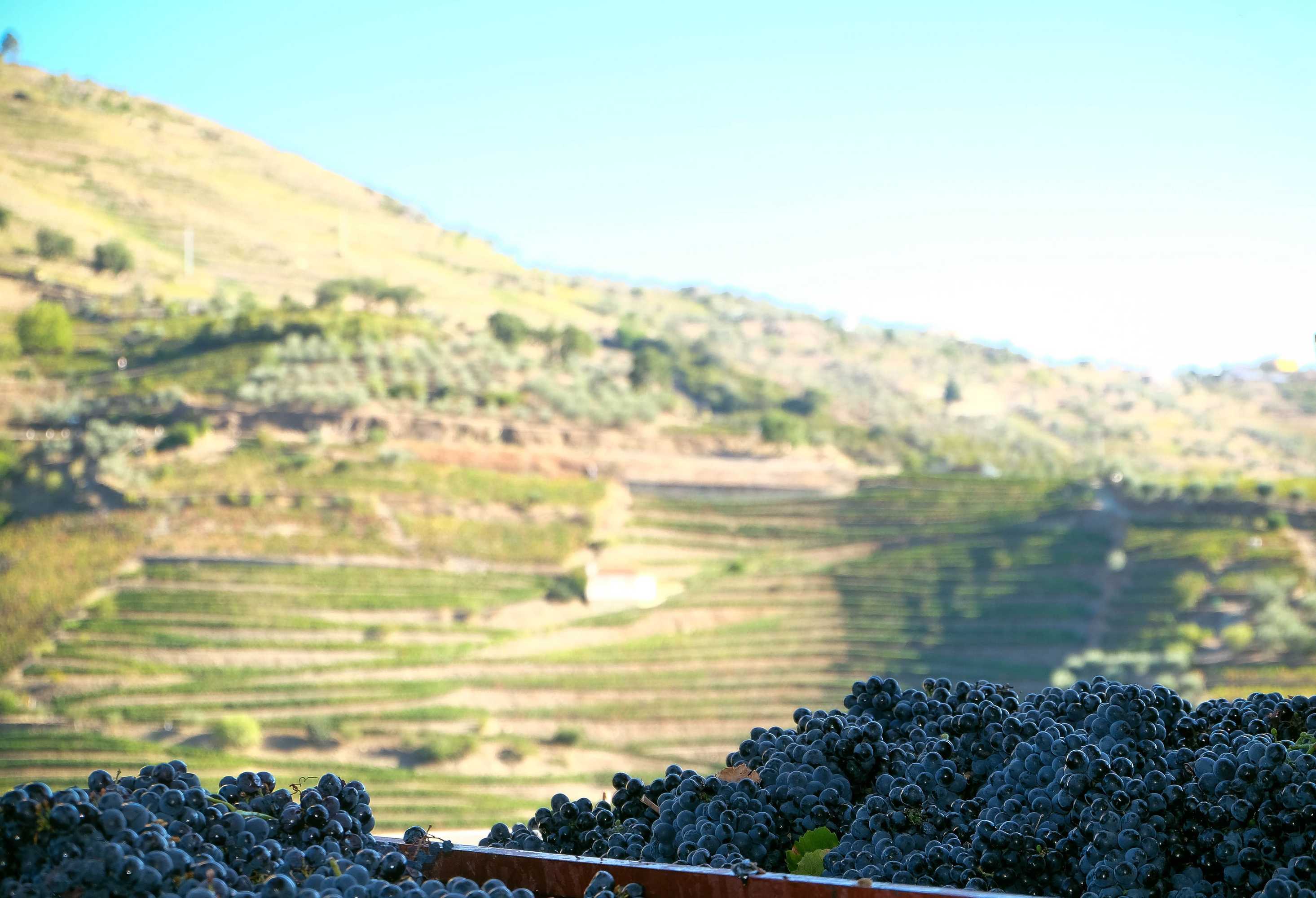 Gift card for Hotel Rural Quinta do Silval Gift card for Hotel Rural Quinta do Silval