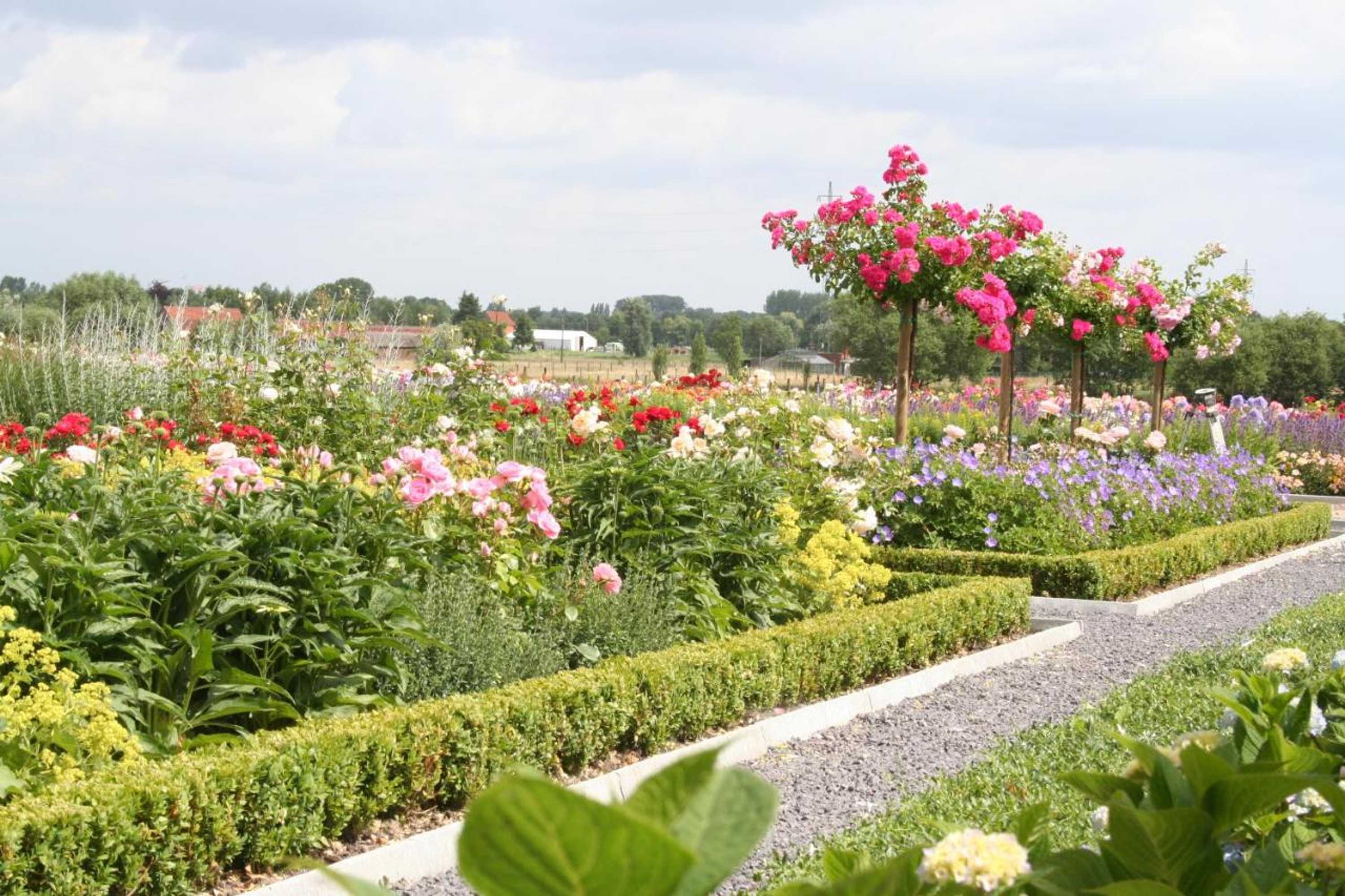 Gift card for B&b La Vie En Roses