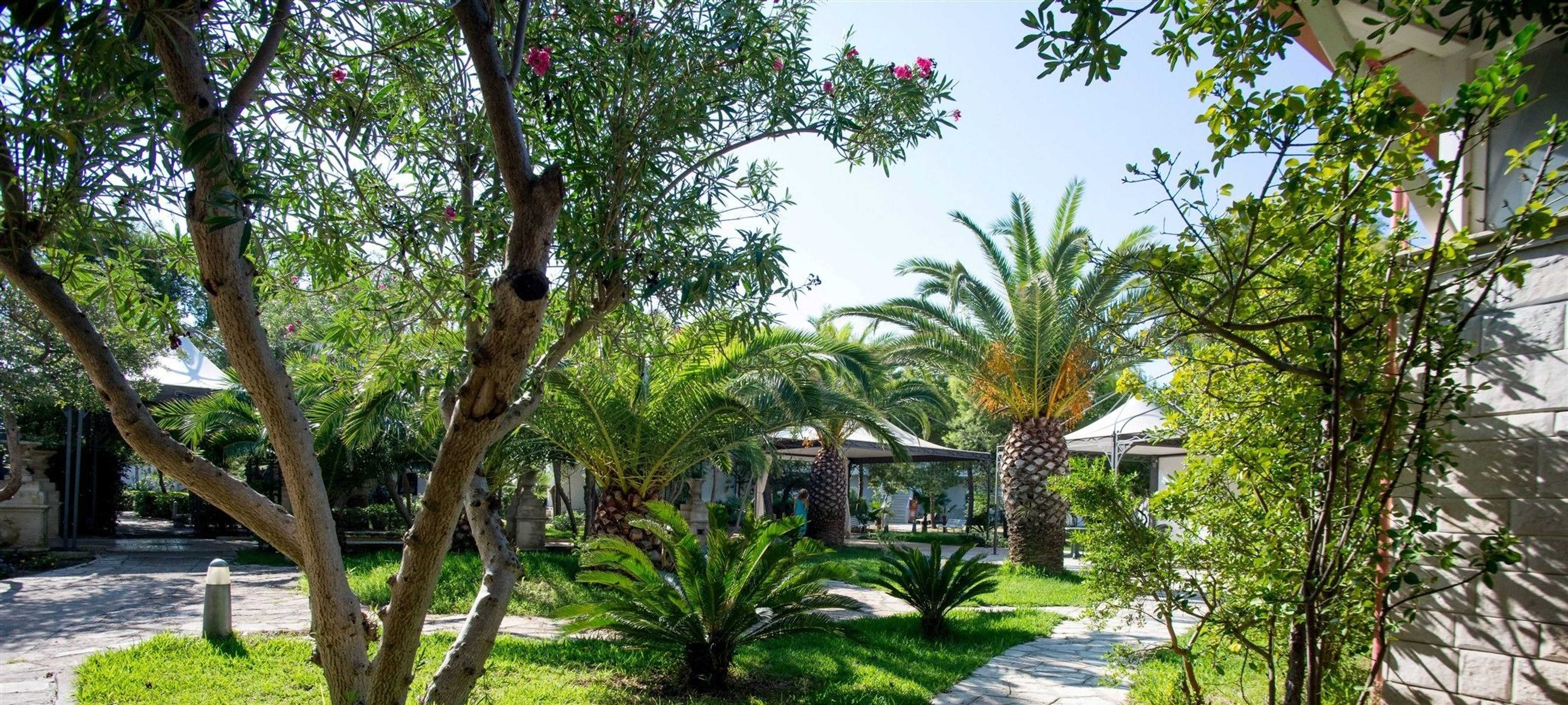 Gift card for Hotel Isola Lo Scoglio Gift card for Hotel Isola Lo Scoglio