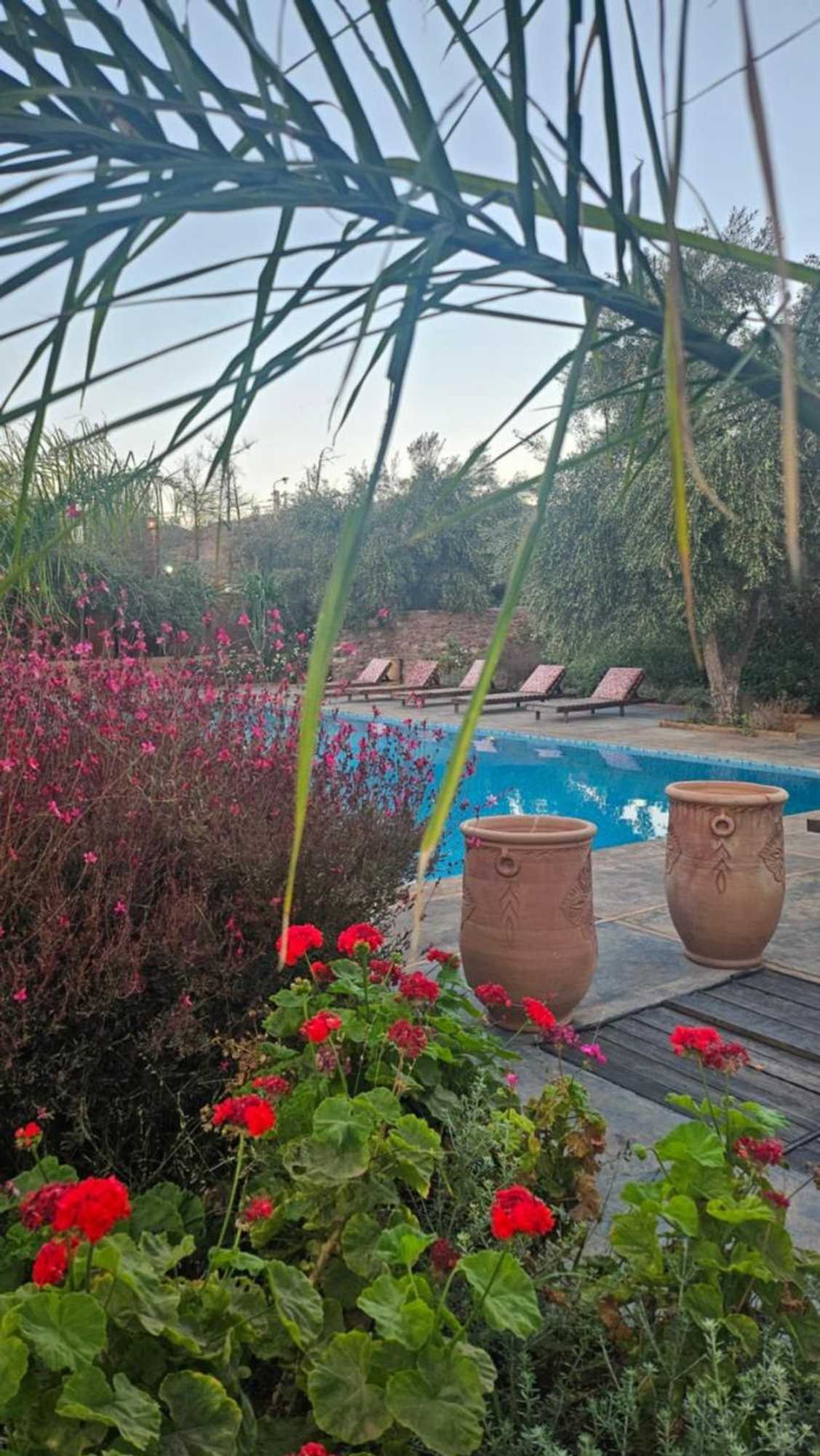 Gift card for Ecolodge Dar Bouhouta