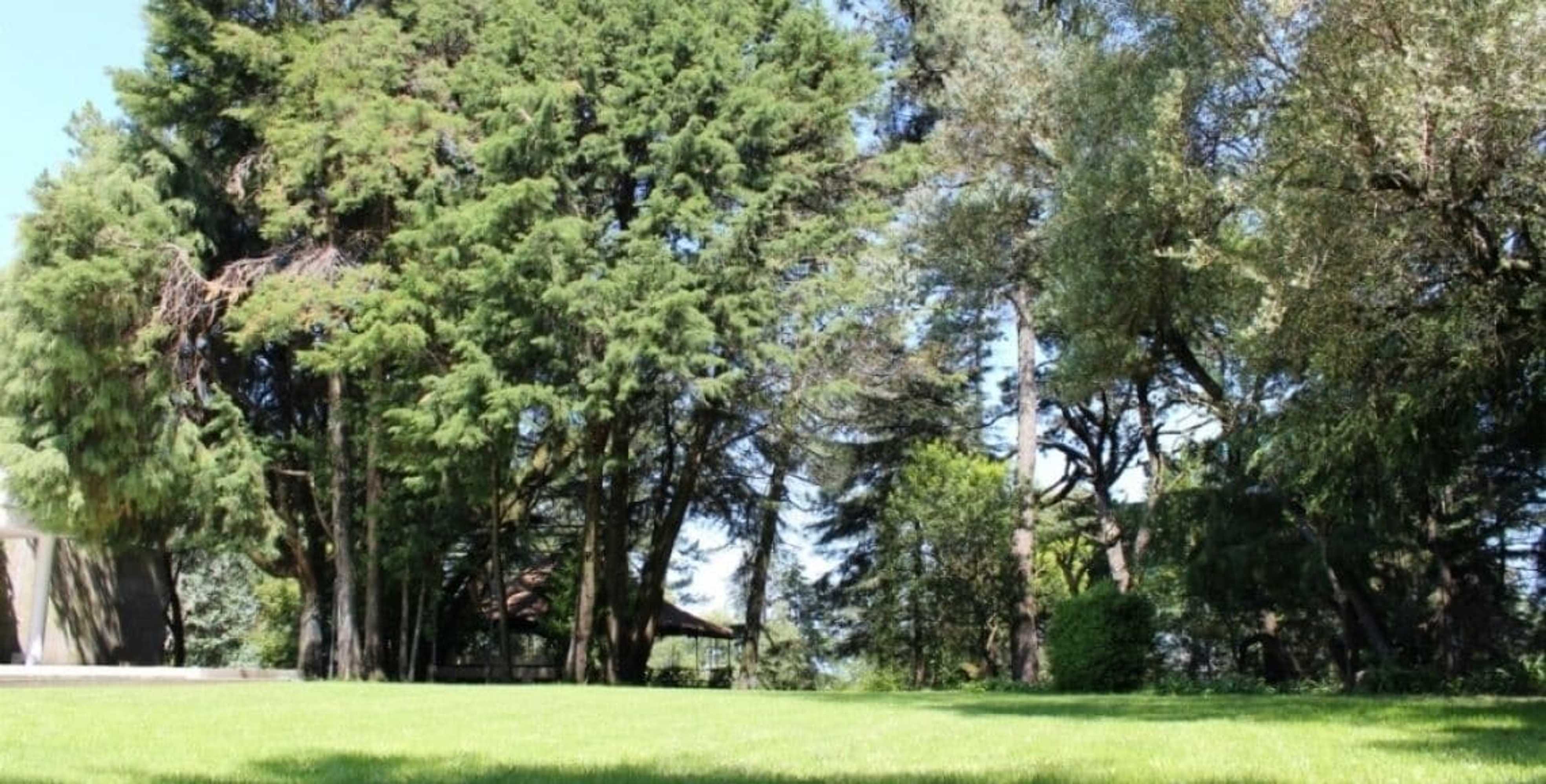 Gift card for Hotel Rural Quinta da Vista Alegre Gift card for Hotel Rural Quinta da Vista Alegre