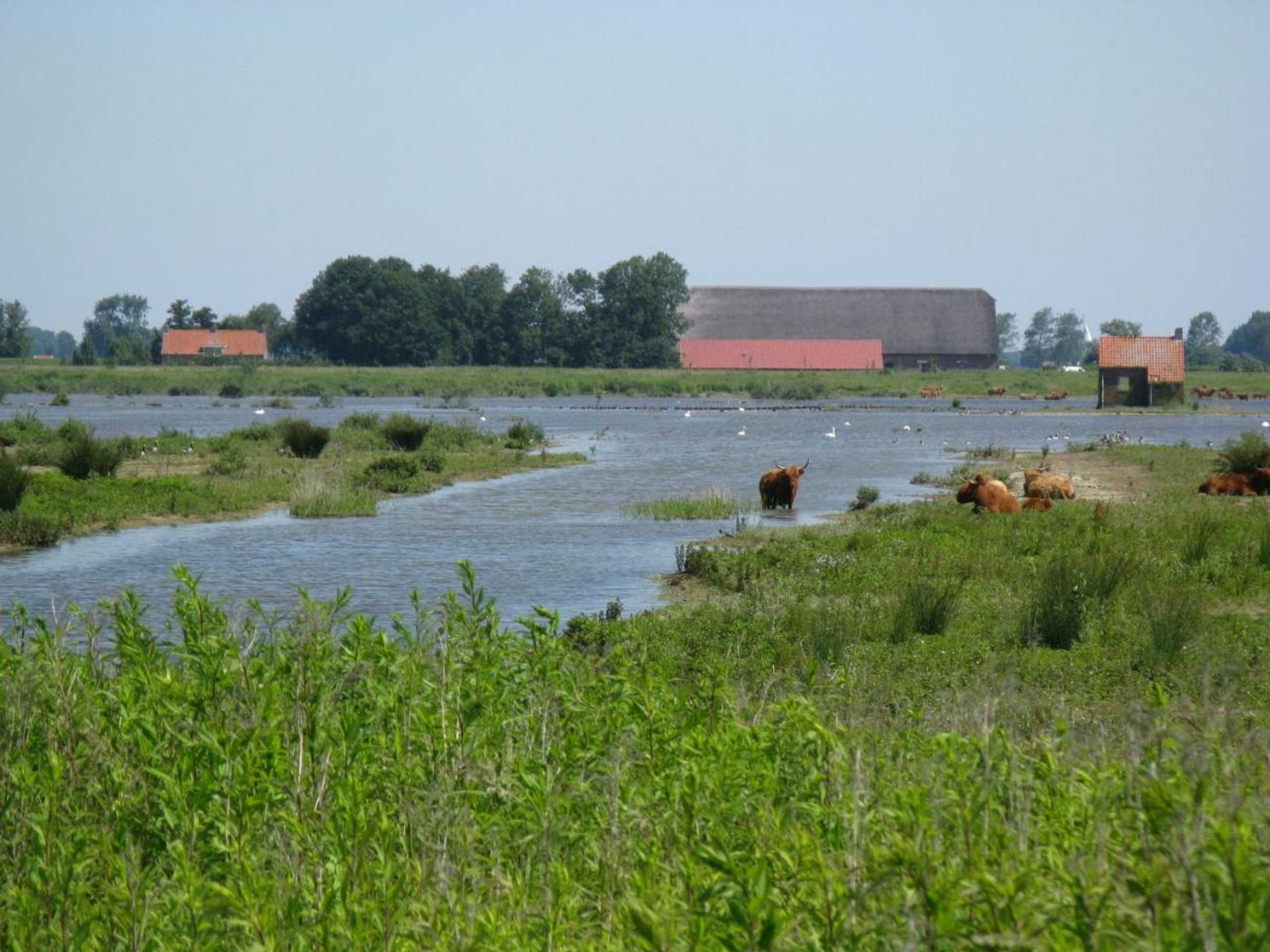 Gift card for Pure Passie Bed And Breakfast