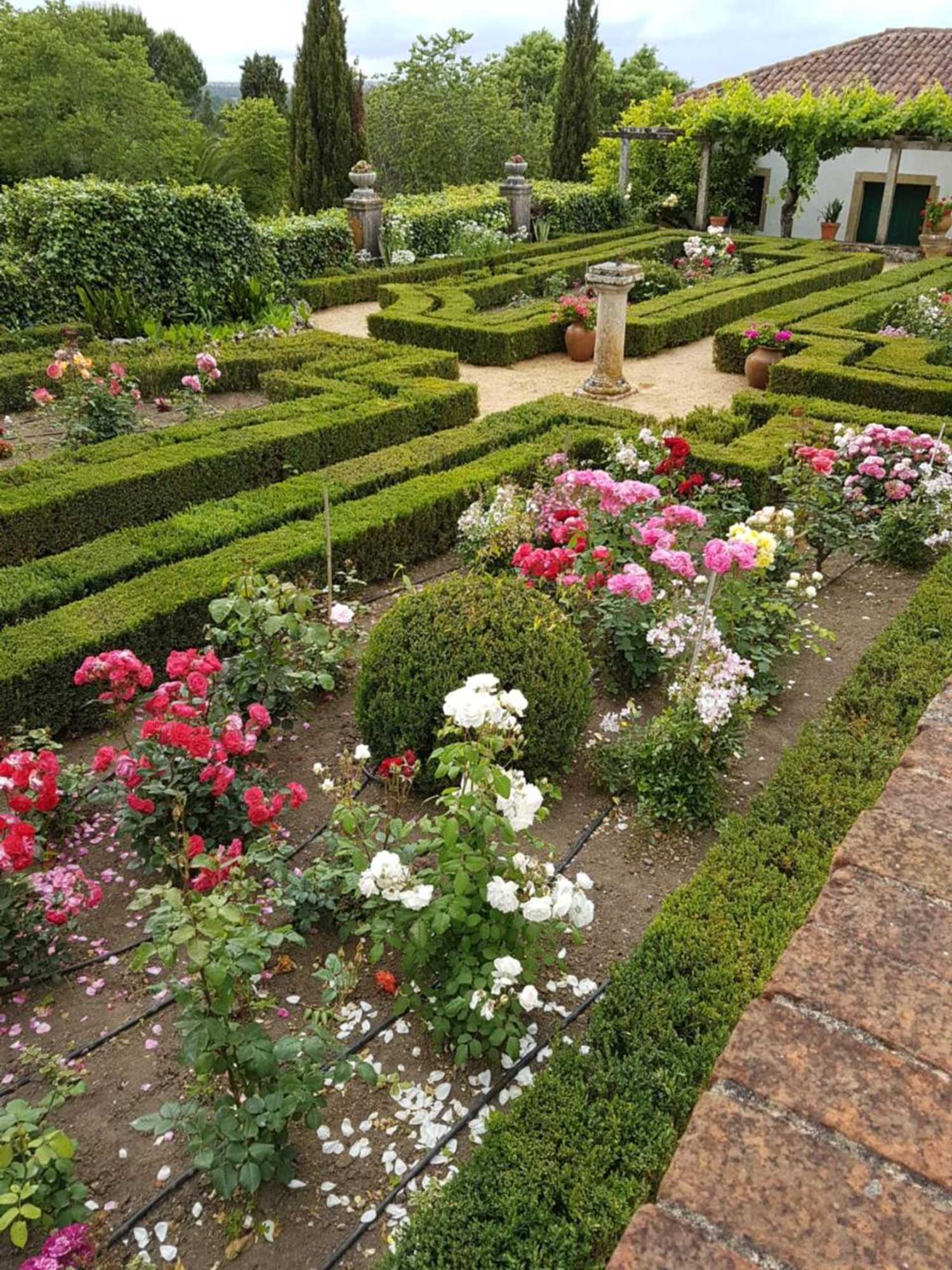 Gift card for Quinta da Bizelga Cottages Gift card for Quinta da Bizelga Cottages