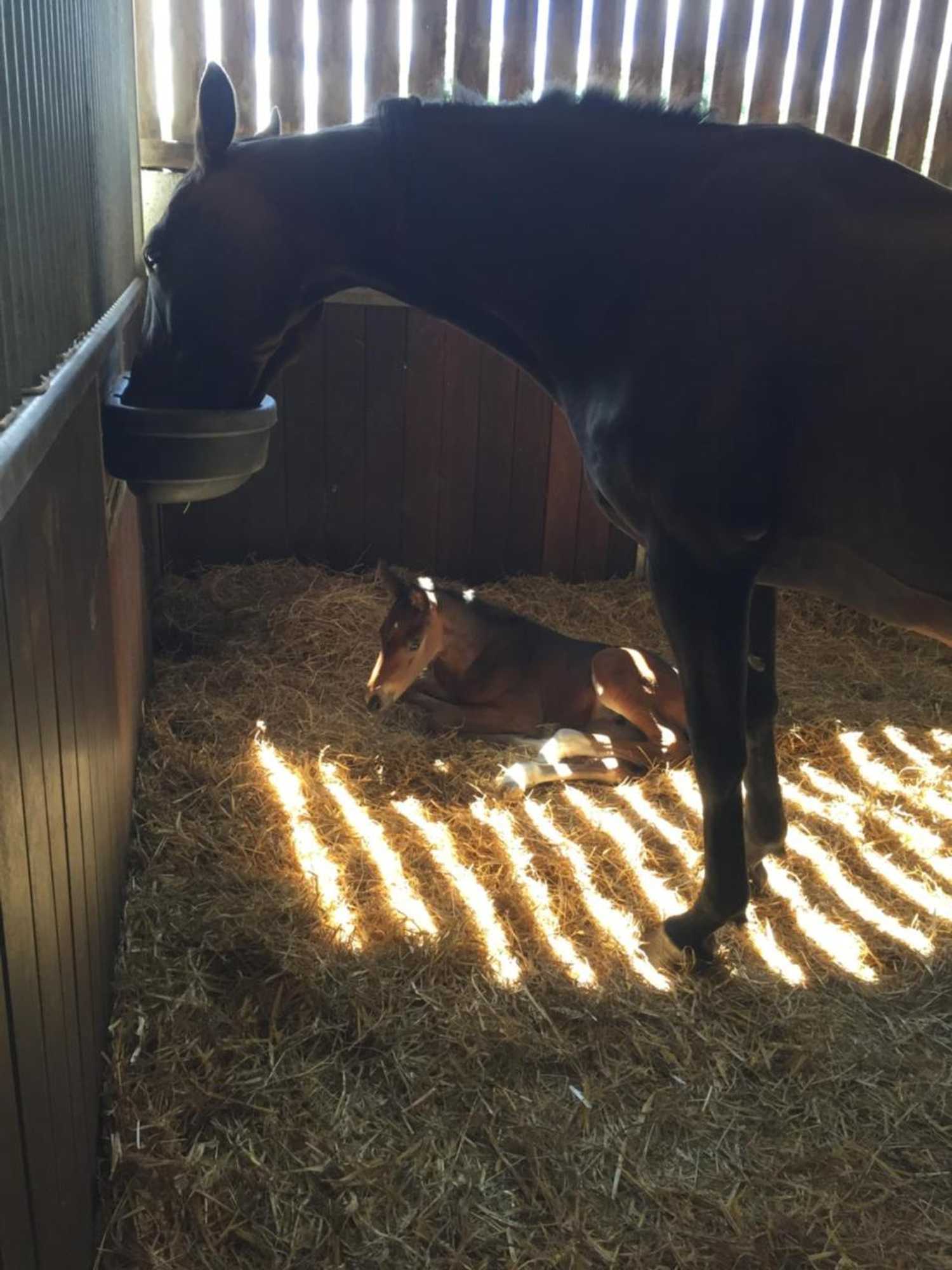 Gift card for Gutchpool B&b