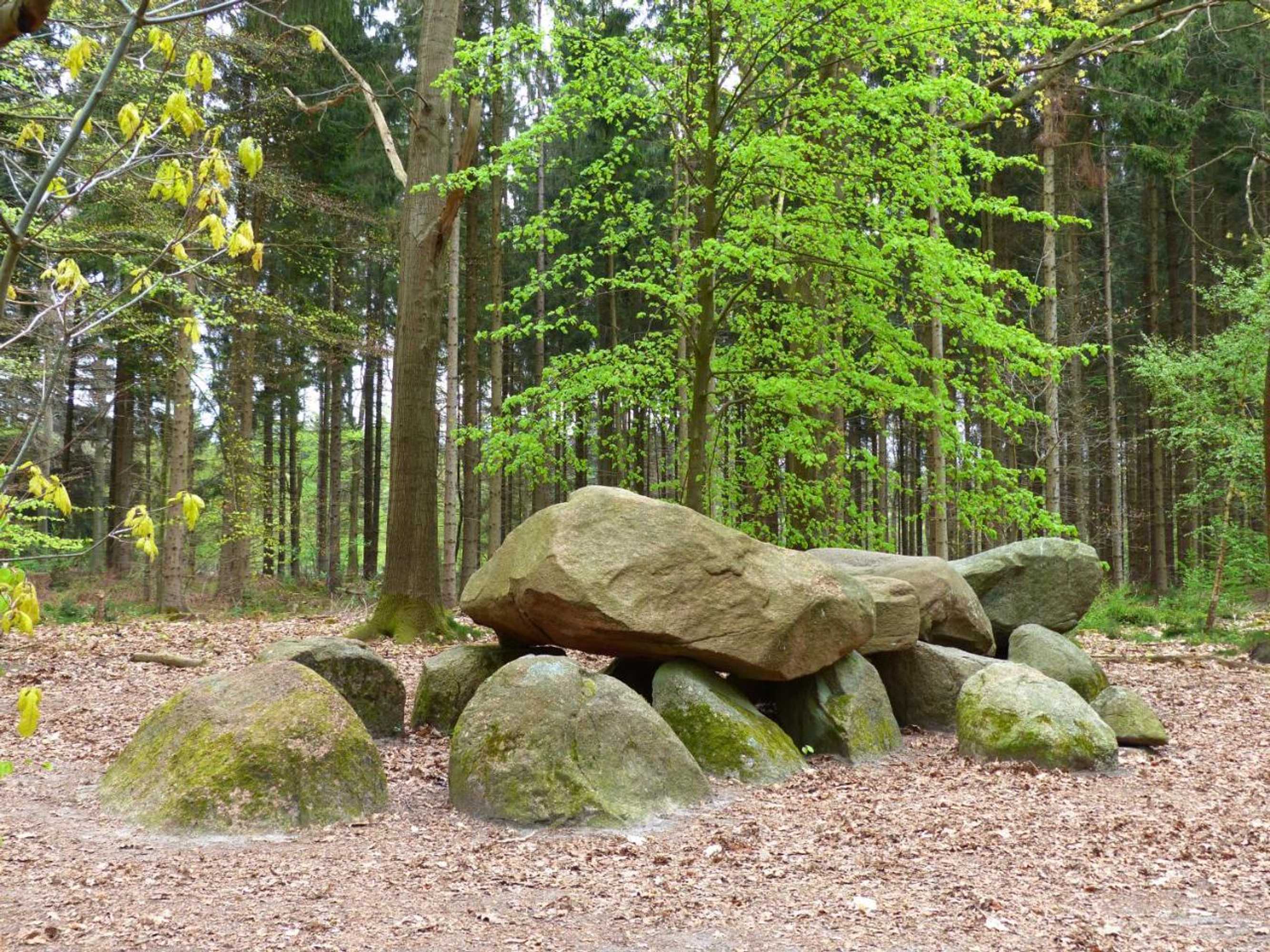 Gift card for Herberg De Eexter Os