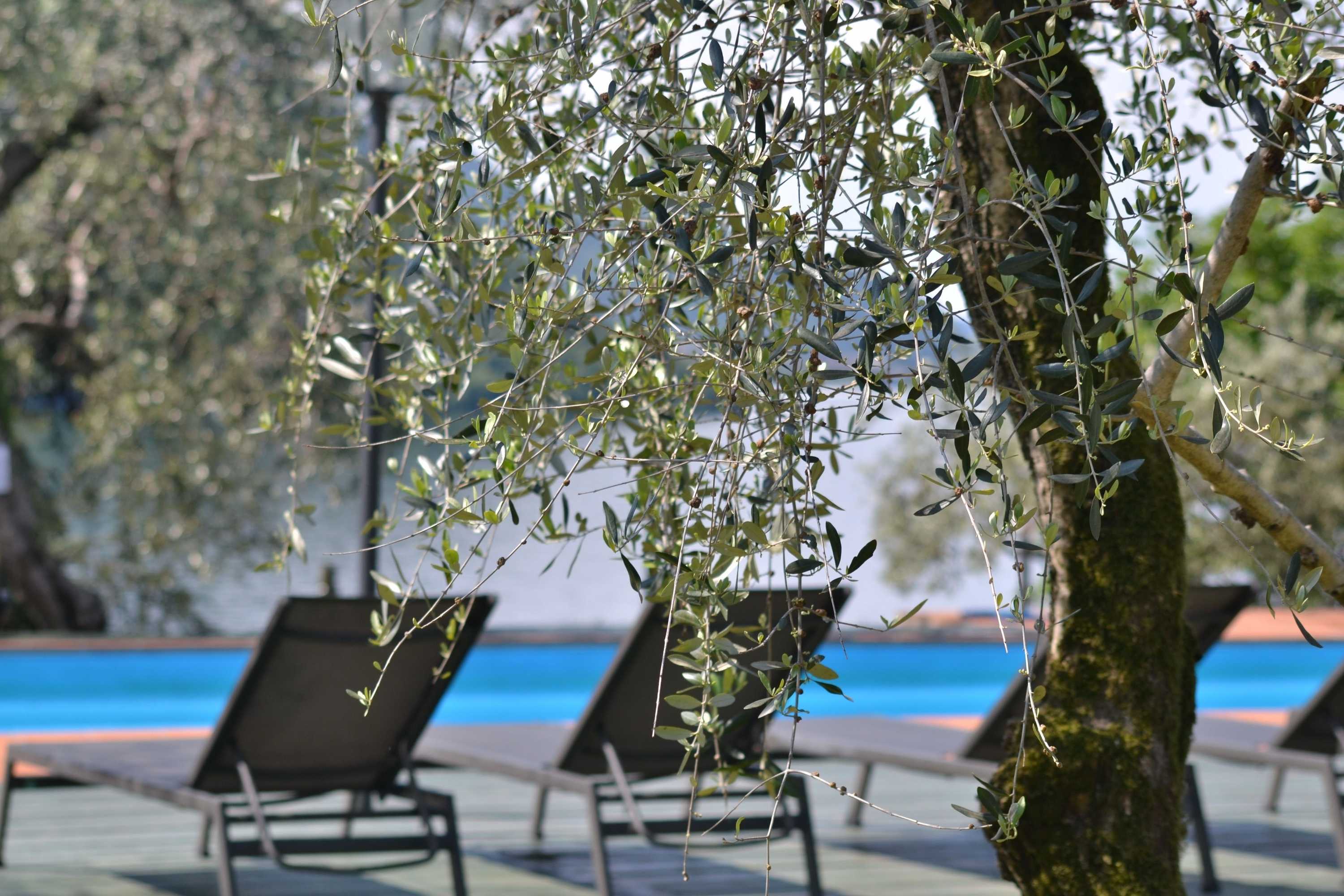 Gift card for Residence Castello Oldofredi Gift card for Residence Castello Oldofredi