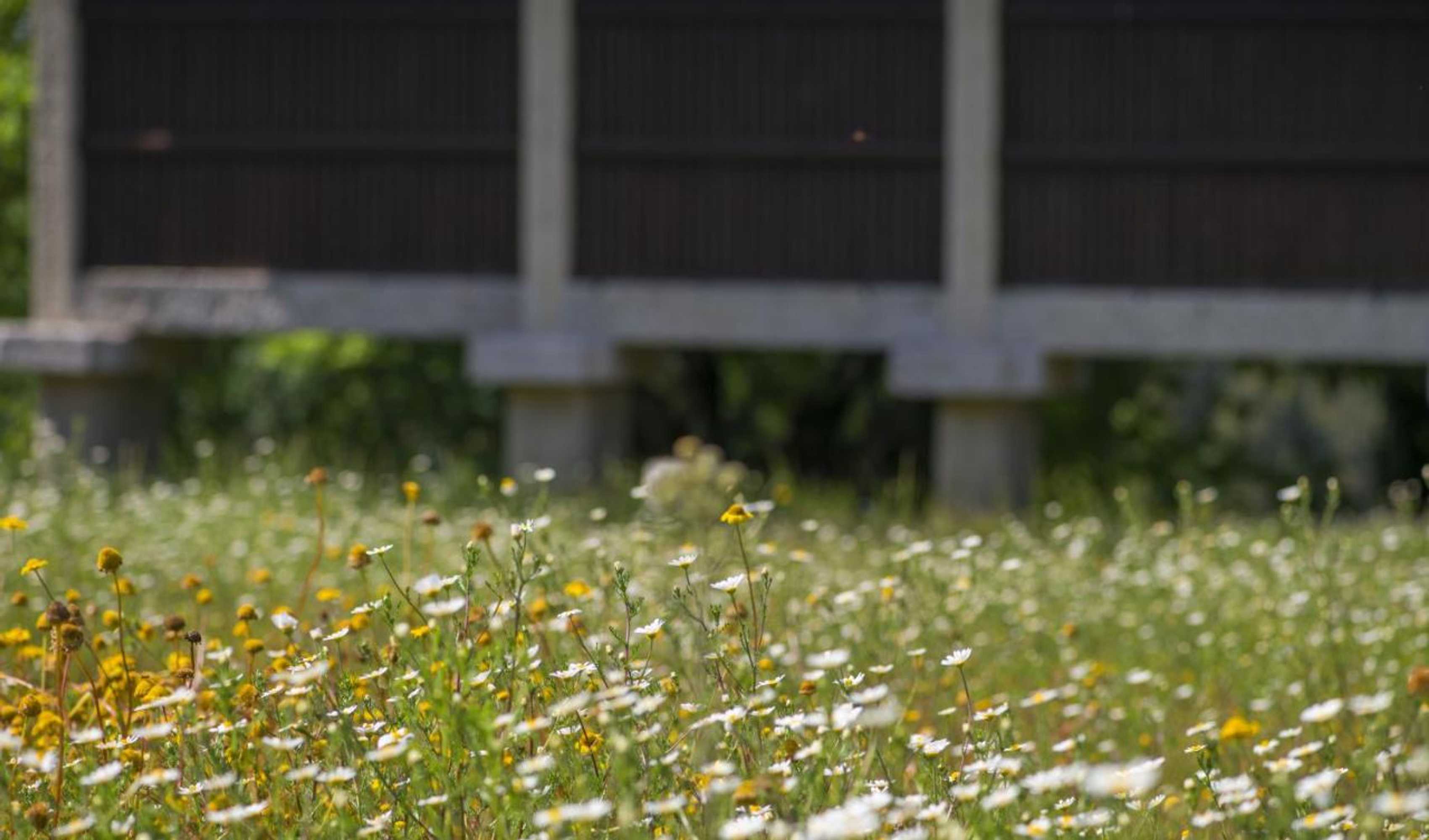 Gift card for Quinta do Fontelo