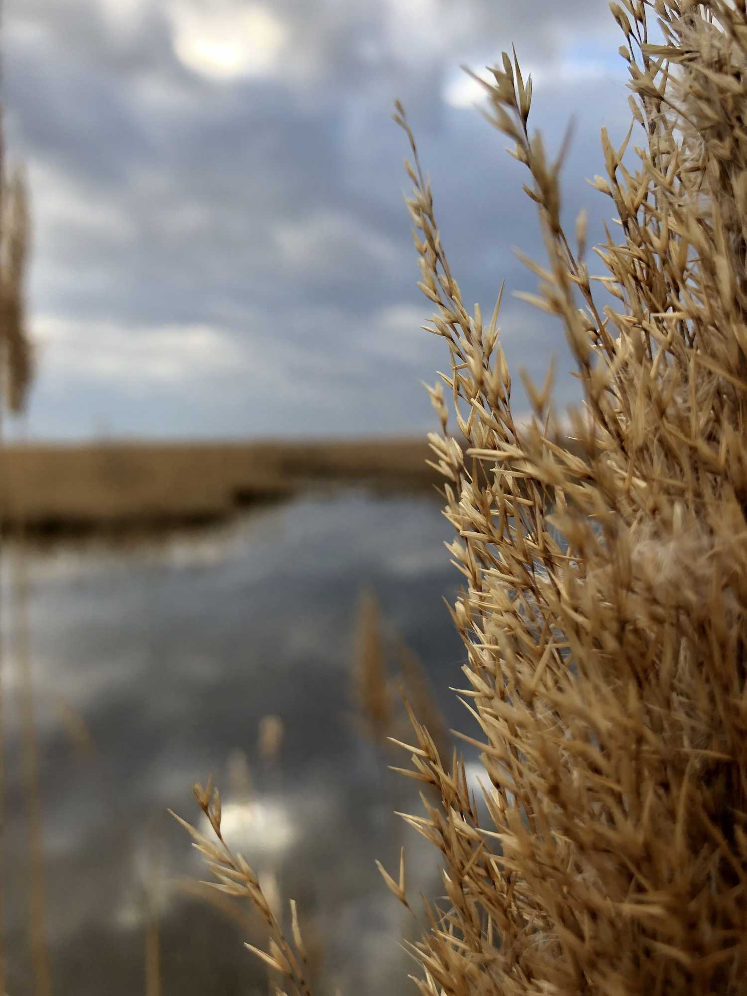 Gift card for Hotel Le Lys D'or