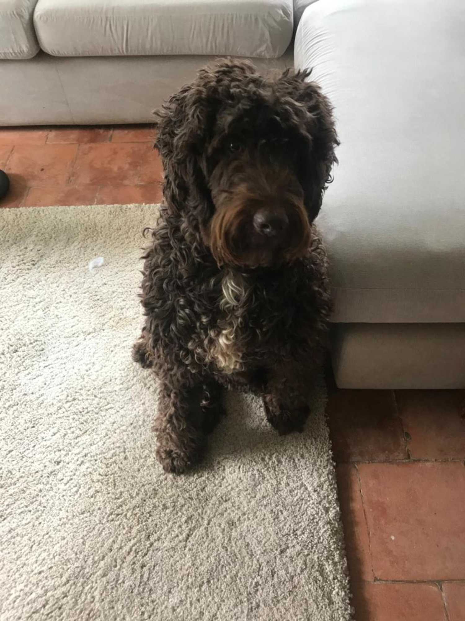 Gift card for The Annex