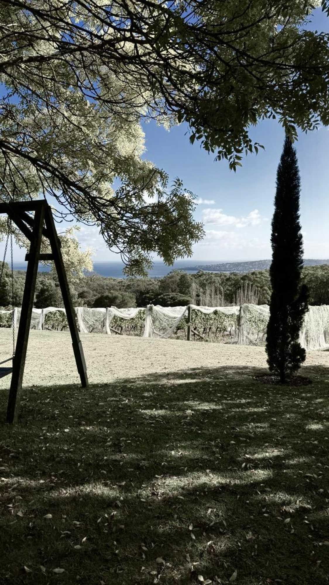 Gift card for Frogs Pond