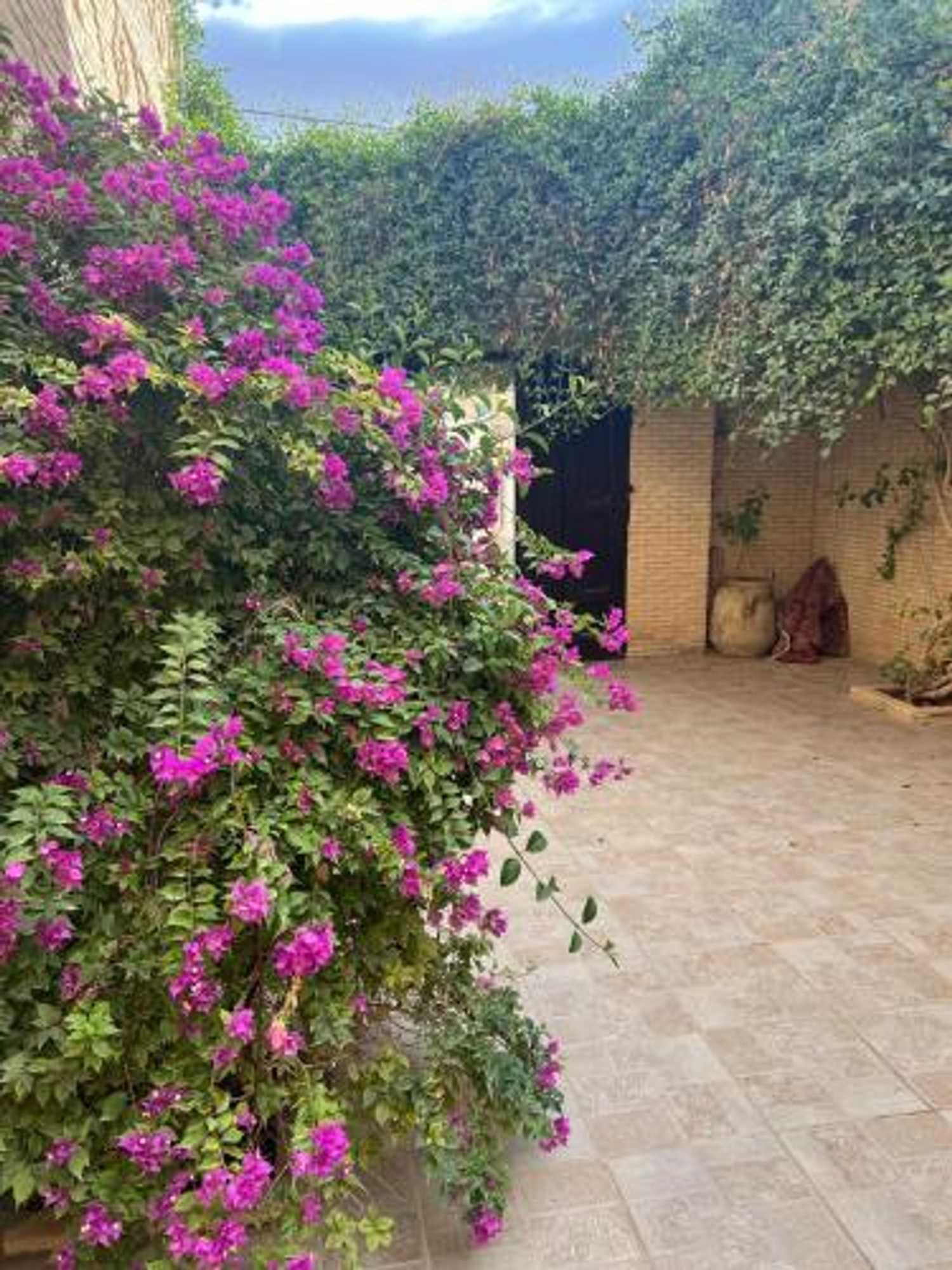 Gift card for Residence Tozeur Almadina Gift card for Residence Tozeur Almadina