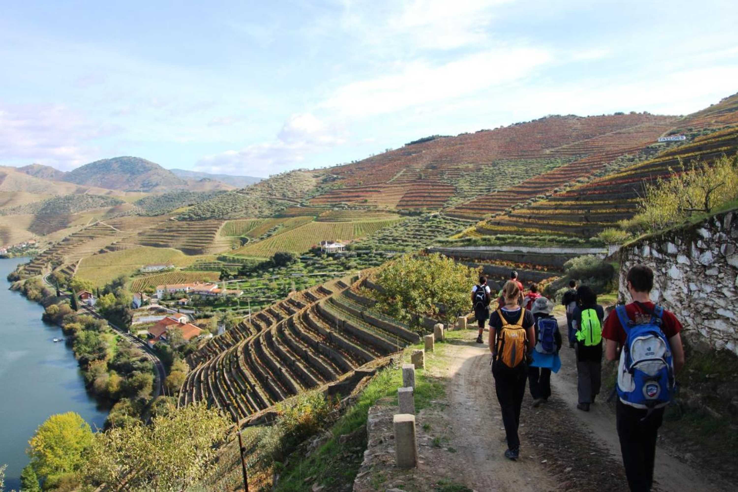 Gift card for Douro Yacht Charter & Bungalows