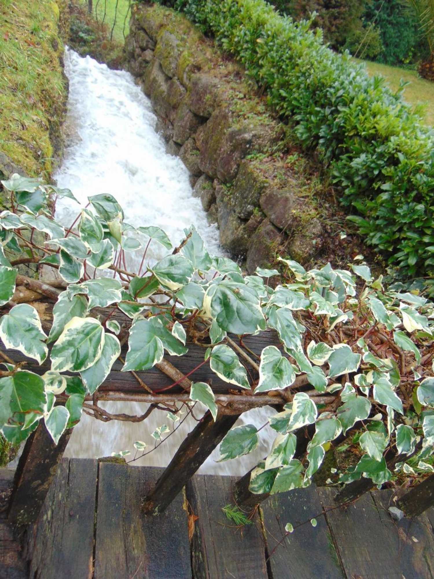 Gift card for Quinta de Barbêdo - Turismo Rural