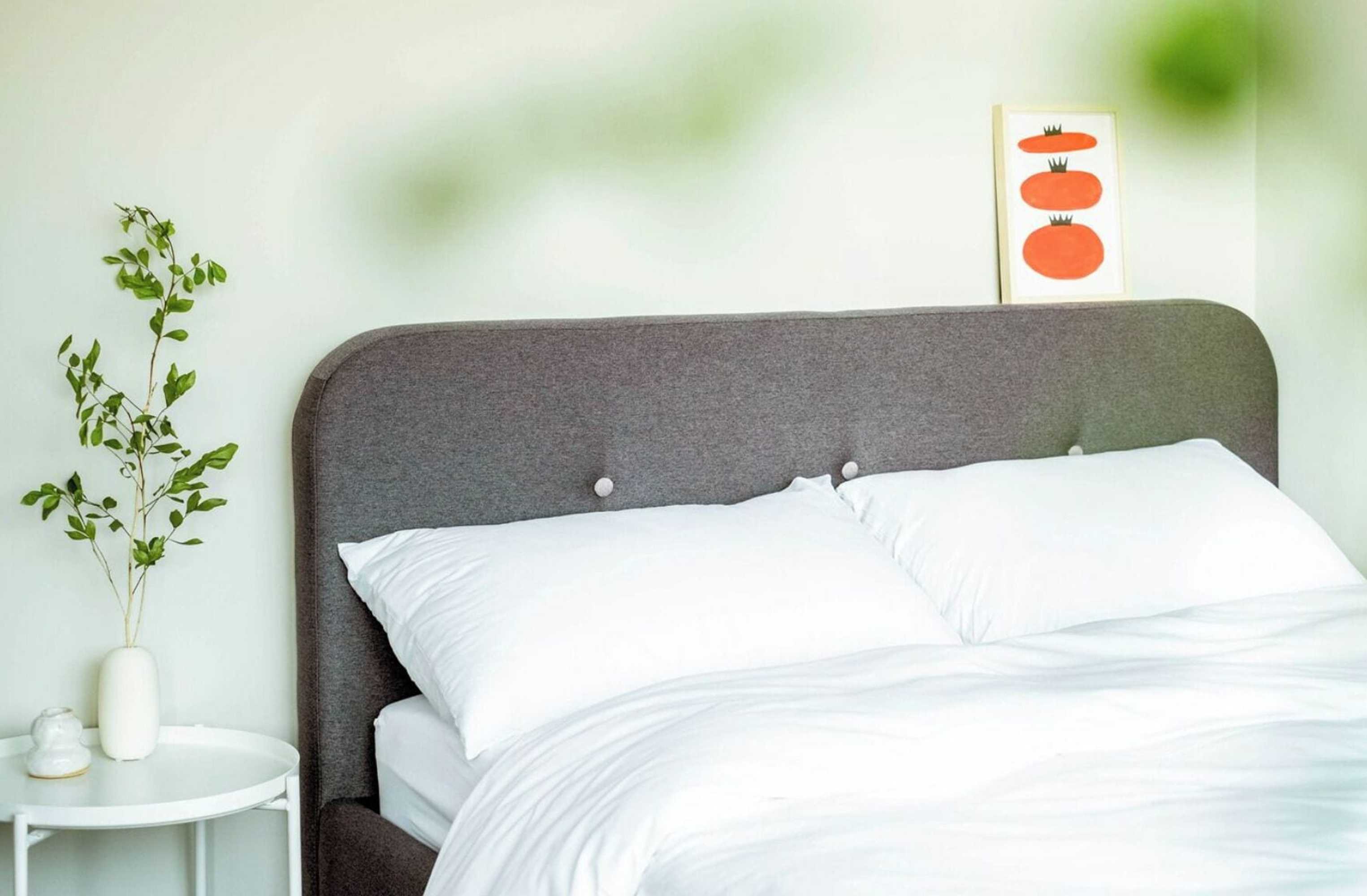 Gift card for Hostel Tomato