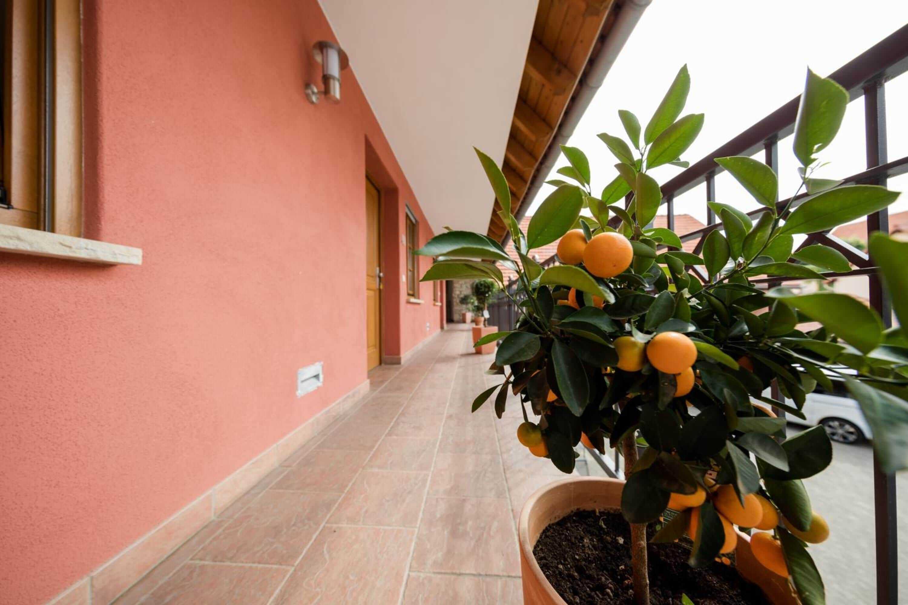 Gift card for Hofgut Metzler