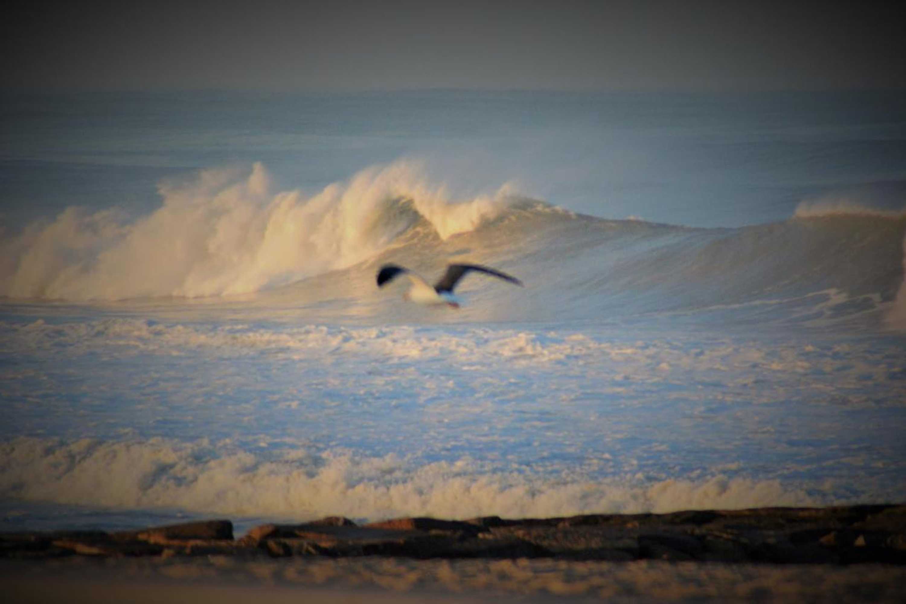 Gift card for Hotel M