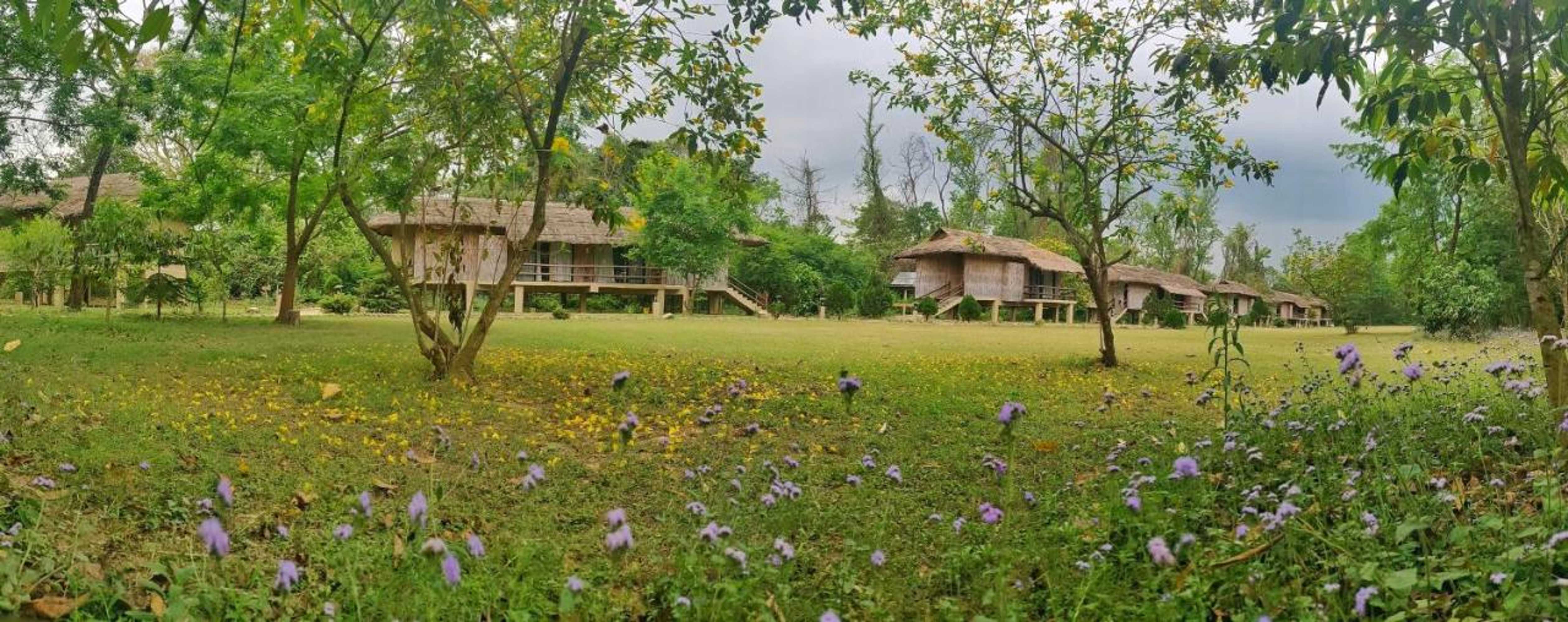 Gift card for Temple Tiger Green Jungle Resort