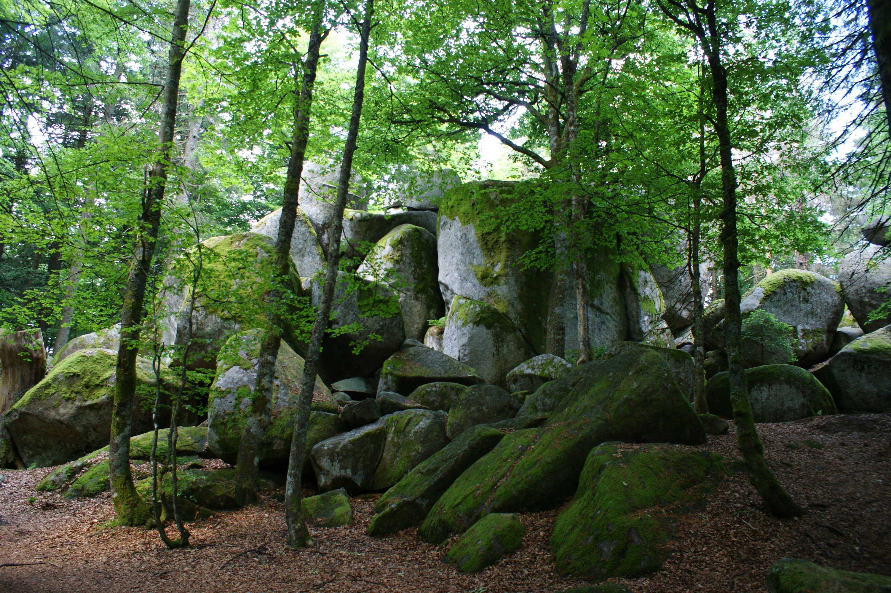 Gift card for Höhengasthaus Kolmenhof an Der Donauquelle