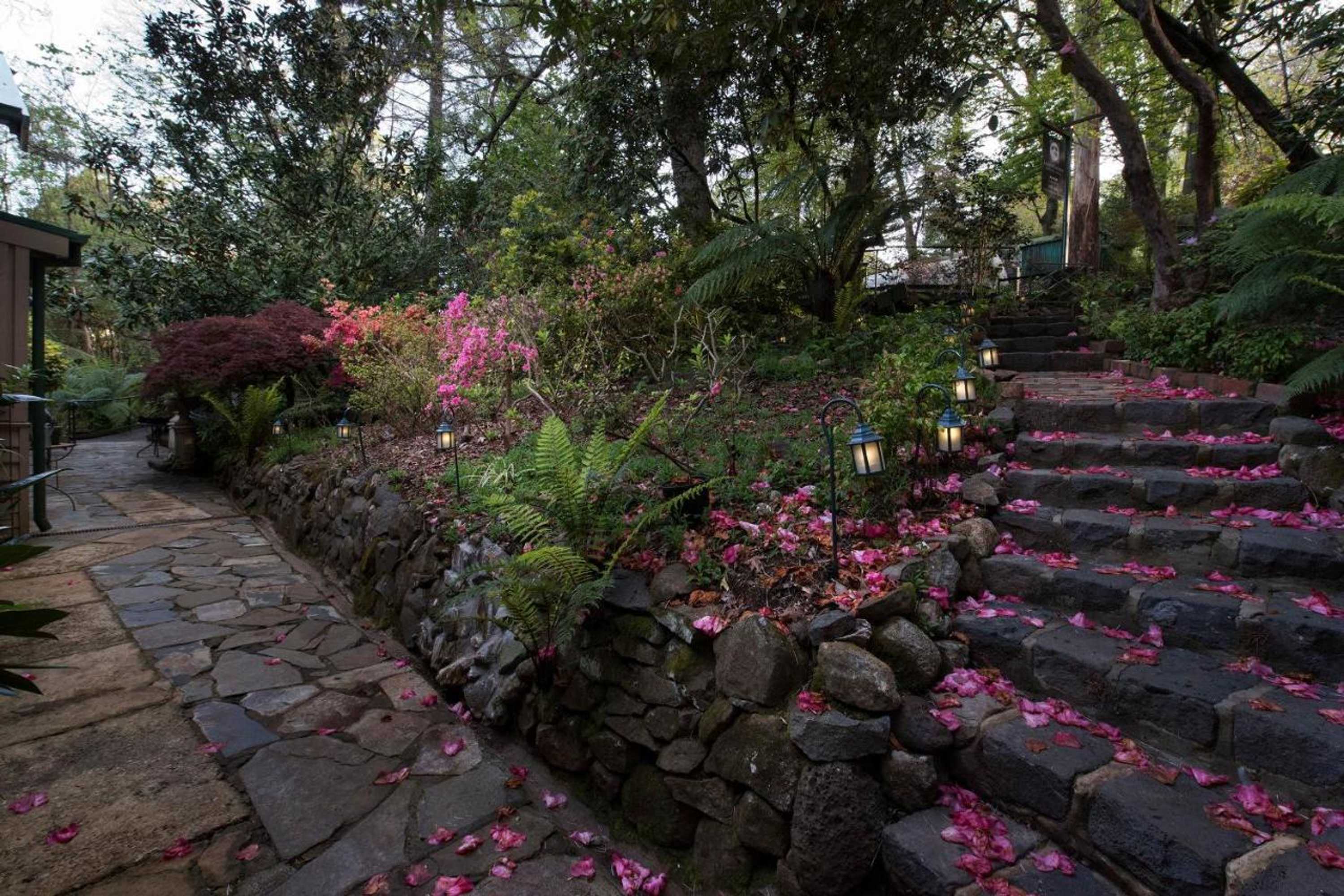 Gift card for Linden Gardens Rainforest Retreat