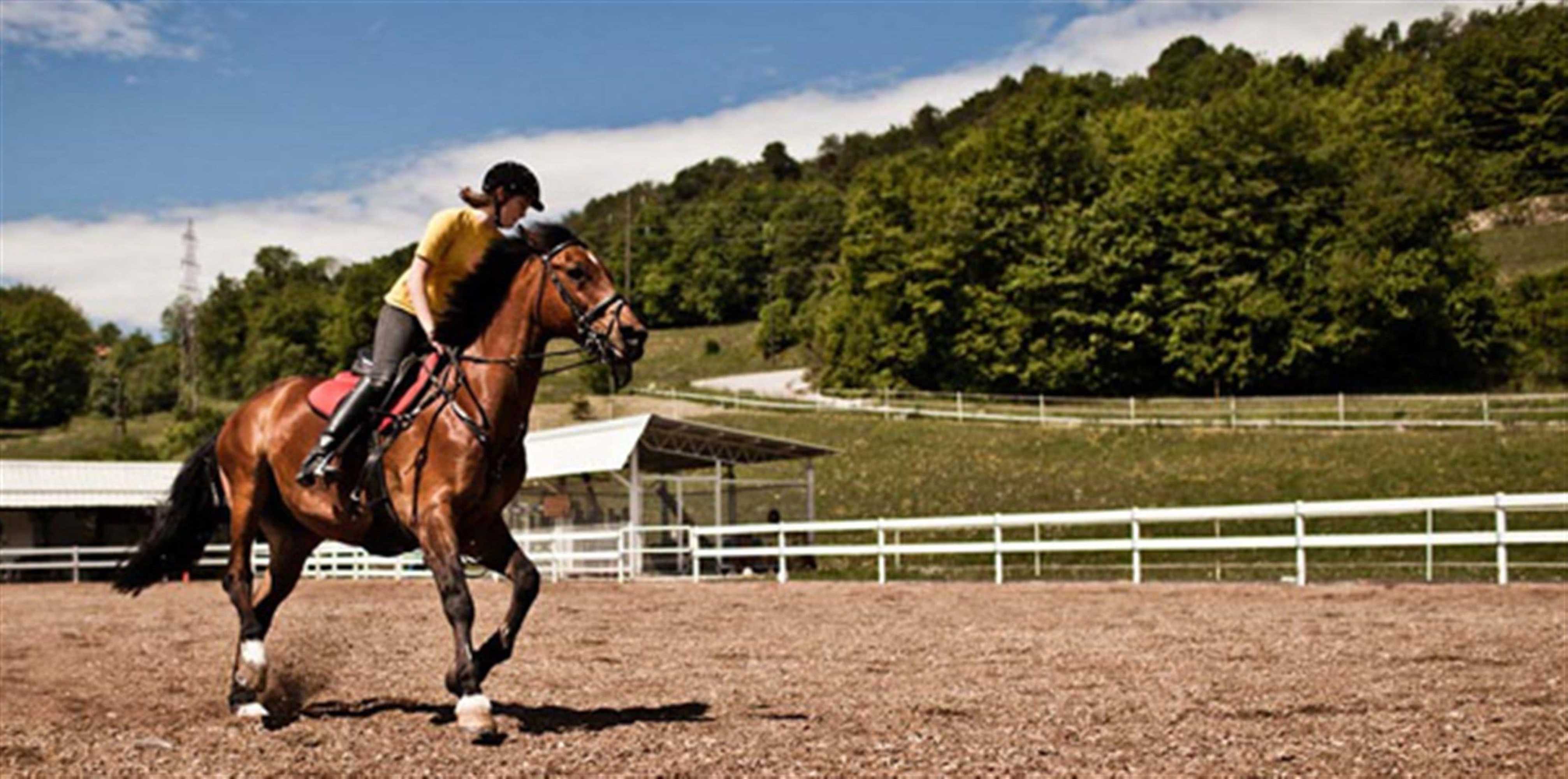 Gift card for Seeblick Hotel Obermaubach