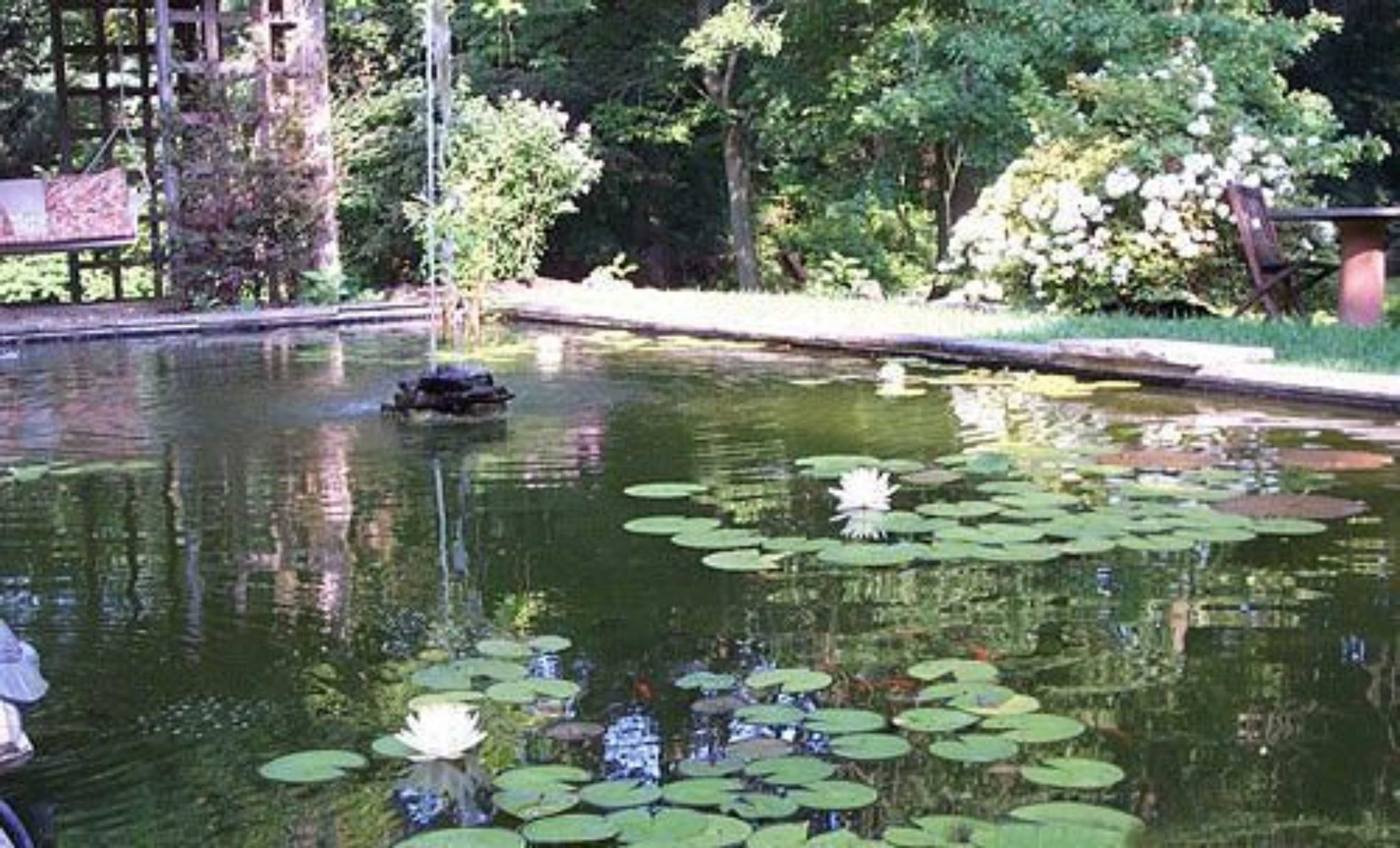 Gift card for Wild Wisteria