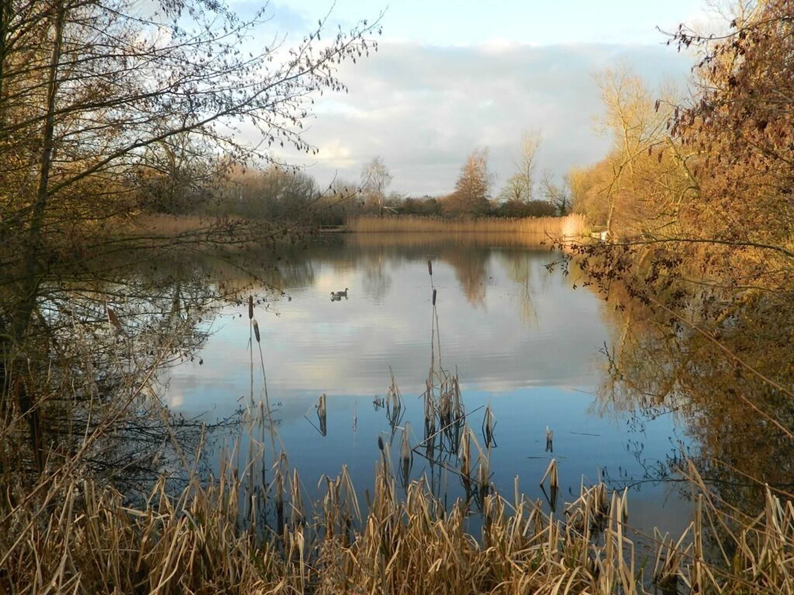 Gift card for Watermeadow Lakes & Lodges Gift card for Watermeadow Lakes & Lodges