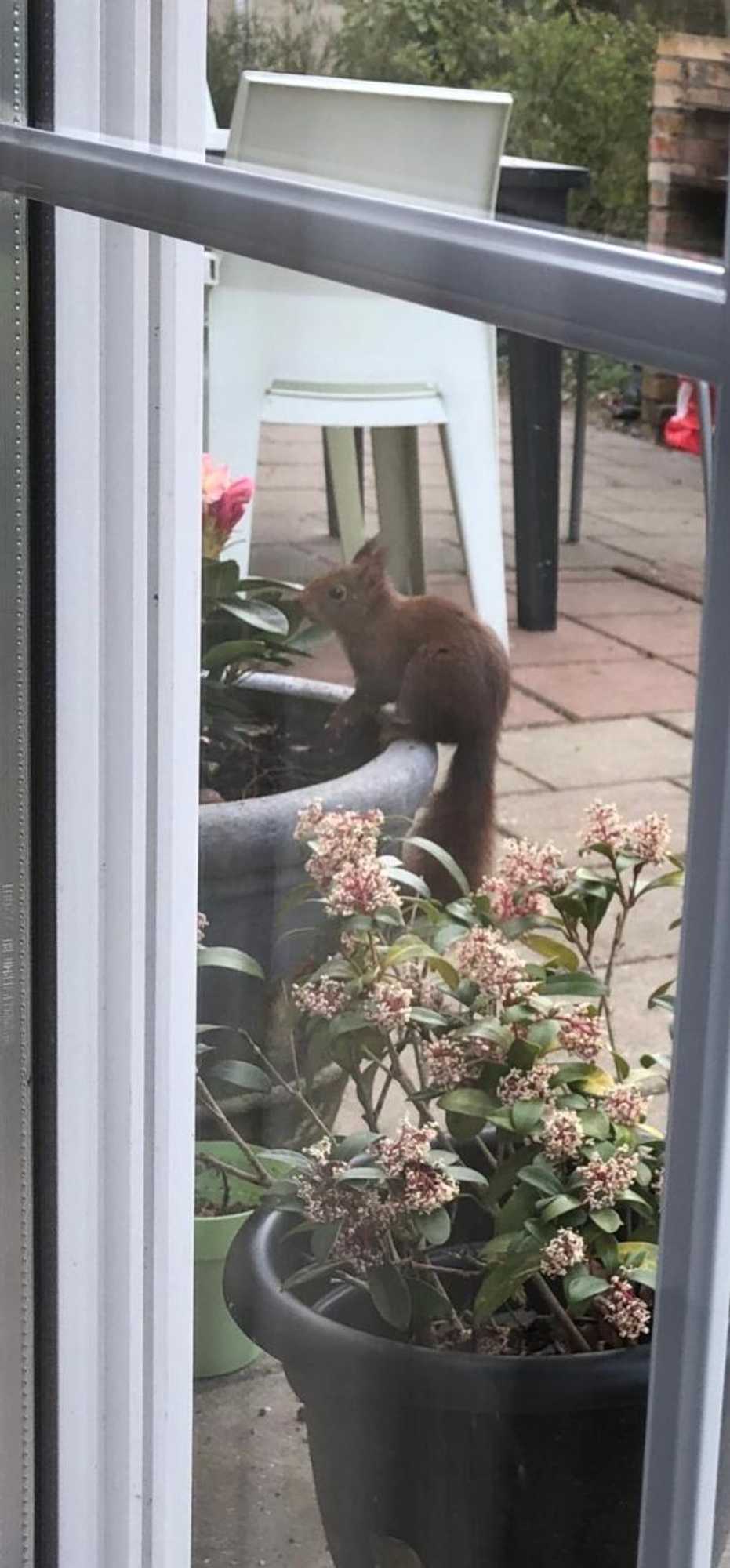 Gift card for Vakantie Veluwe