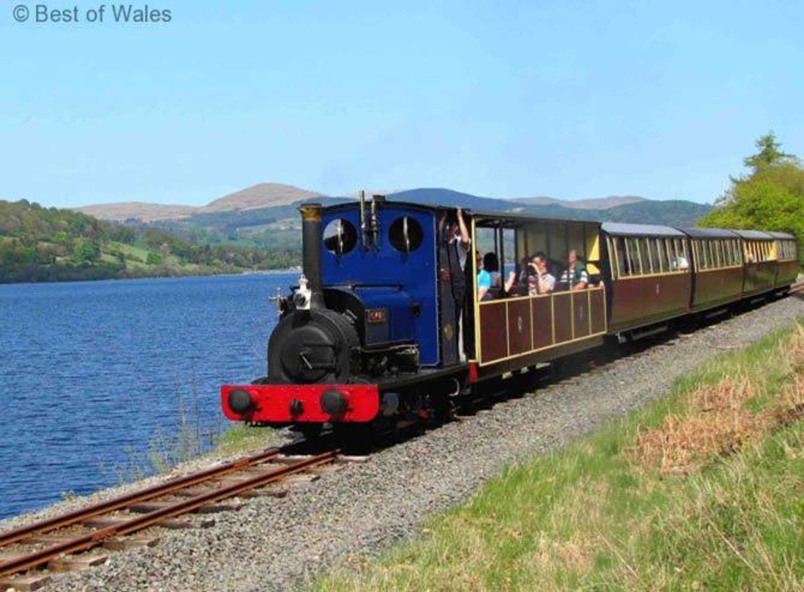 Gift card for Stabal Llew Coch