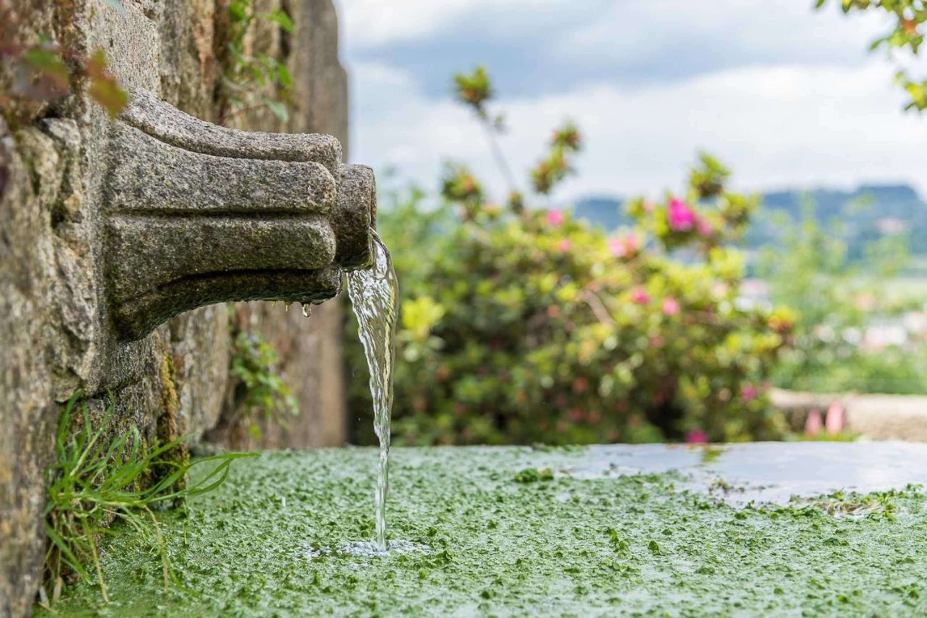 Gift card for Quinta Das Piramides