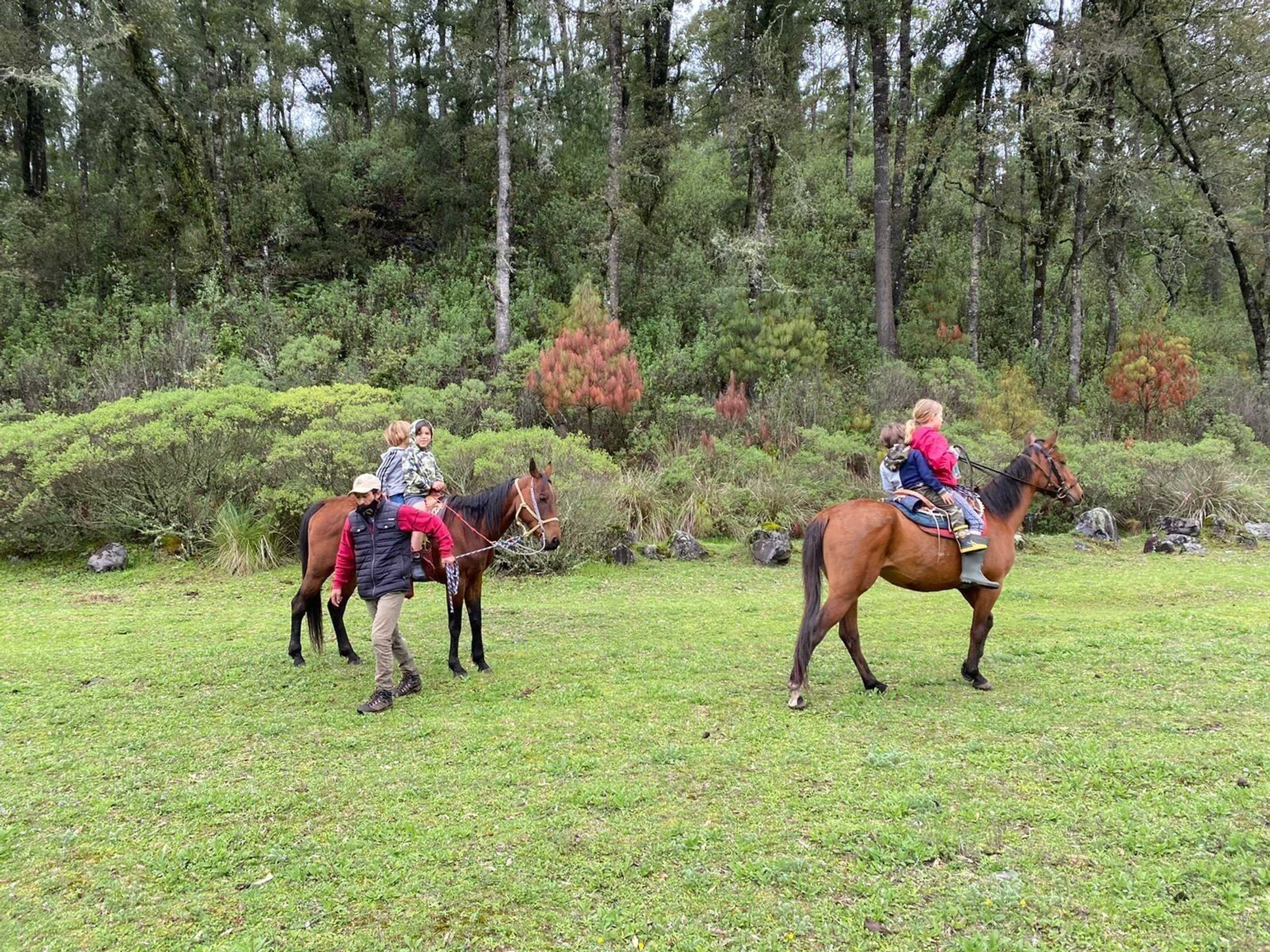 Gift card for Rancho Viejo