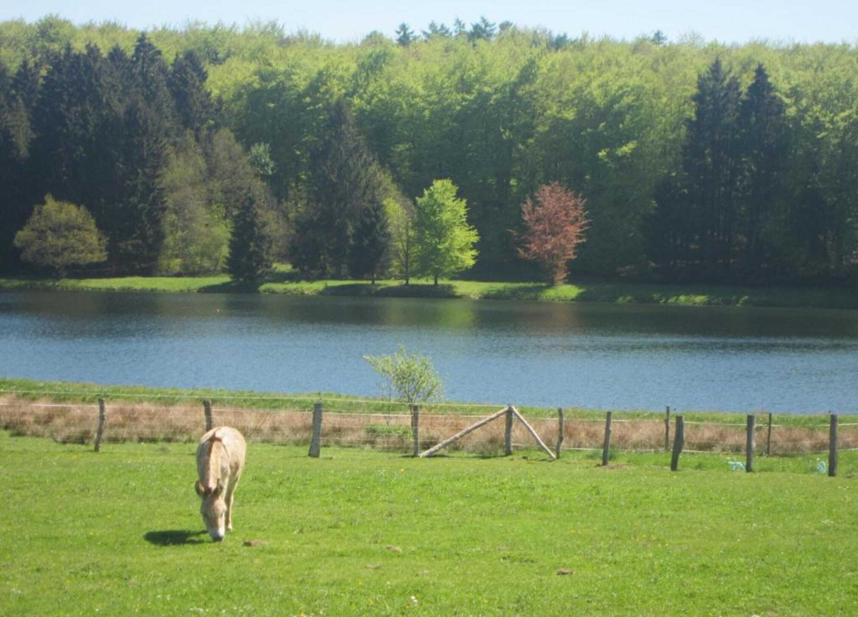Gift card for Chalet in Geel in Quiet Location by The Water Gift card for Chalet in Geel in Quiet Location by The Water