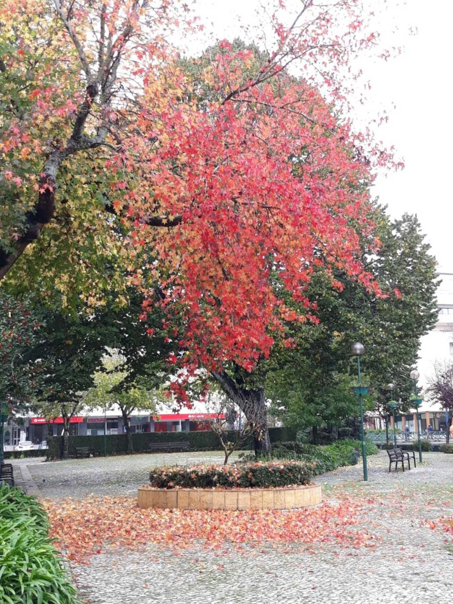 Gift card for Aqua Hotel