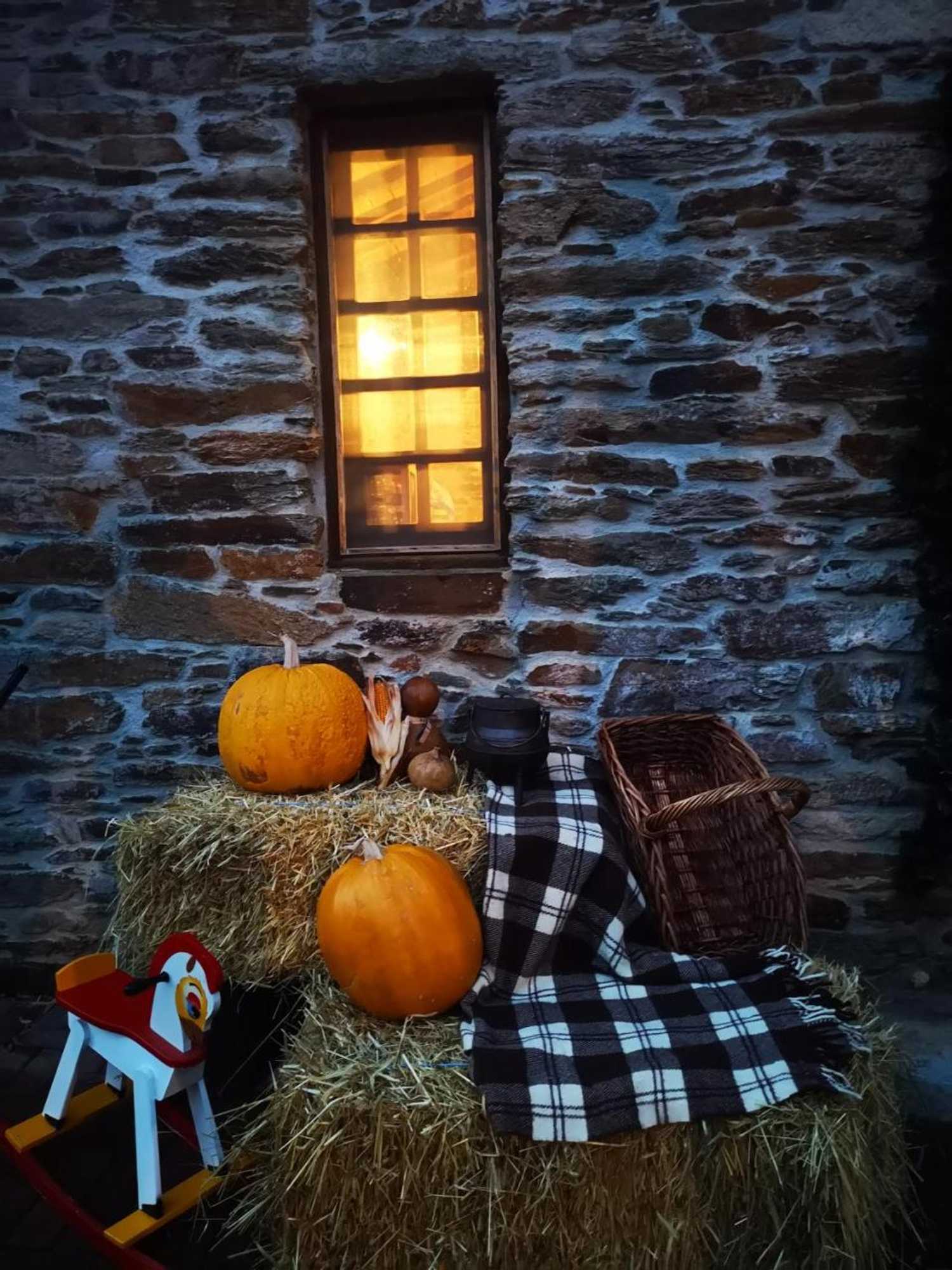 Gift card for Casa de Campo Dos Távoras Gift card for Casa de Campo Dos Távoras