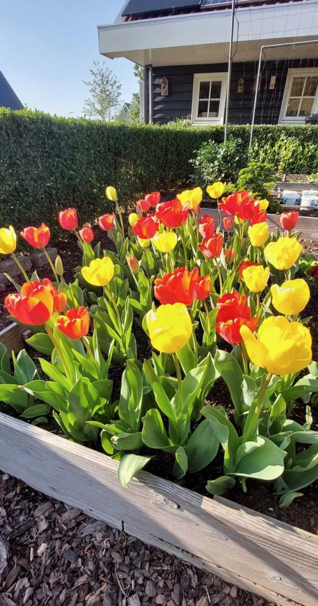 Gift card for De Kopstoof