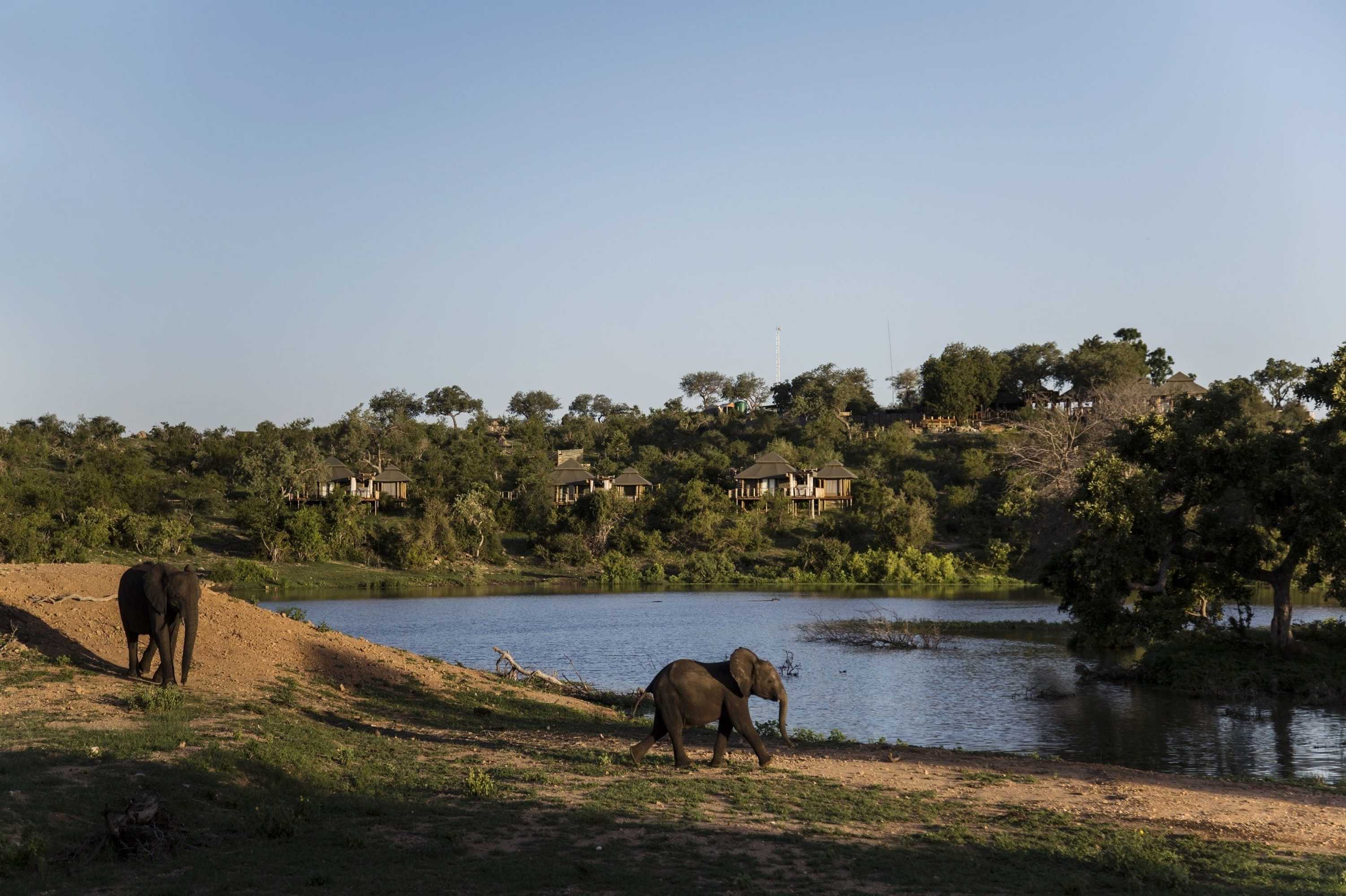 Gift card for Simbavati Hilltop Lodge Gift card for Simbavati Hilltop Lodge