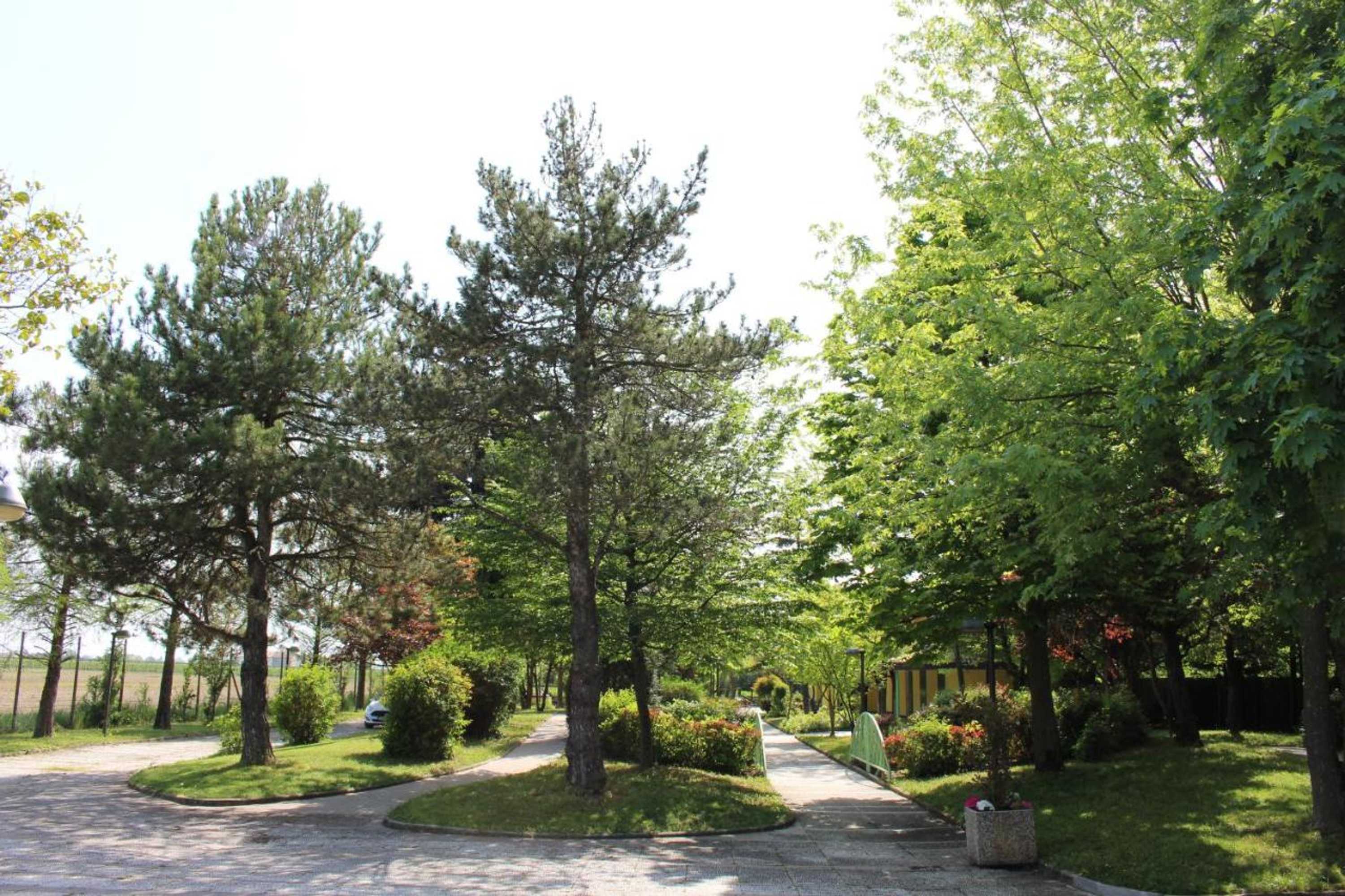 Gift card for B&b Villa Dei Cigni Reali