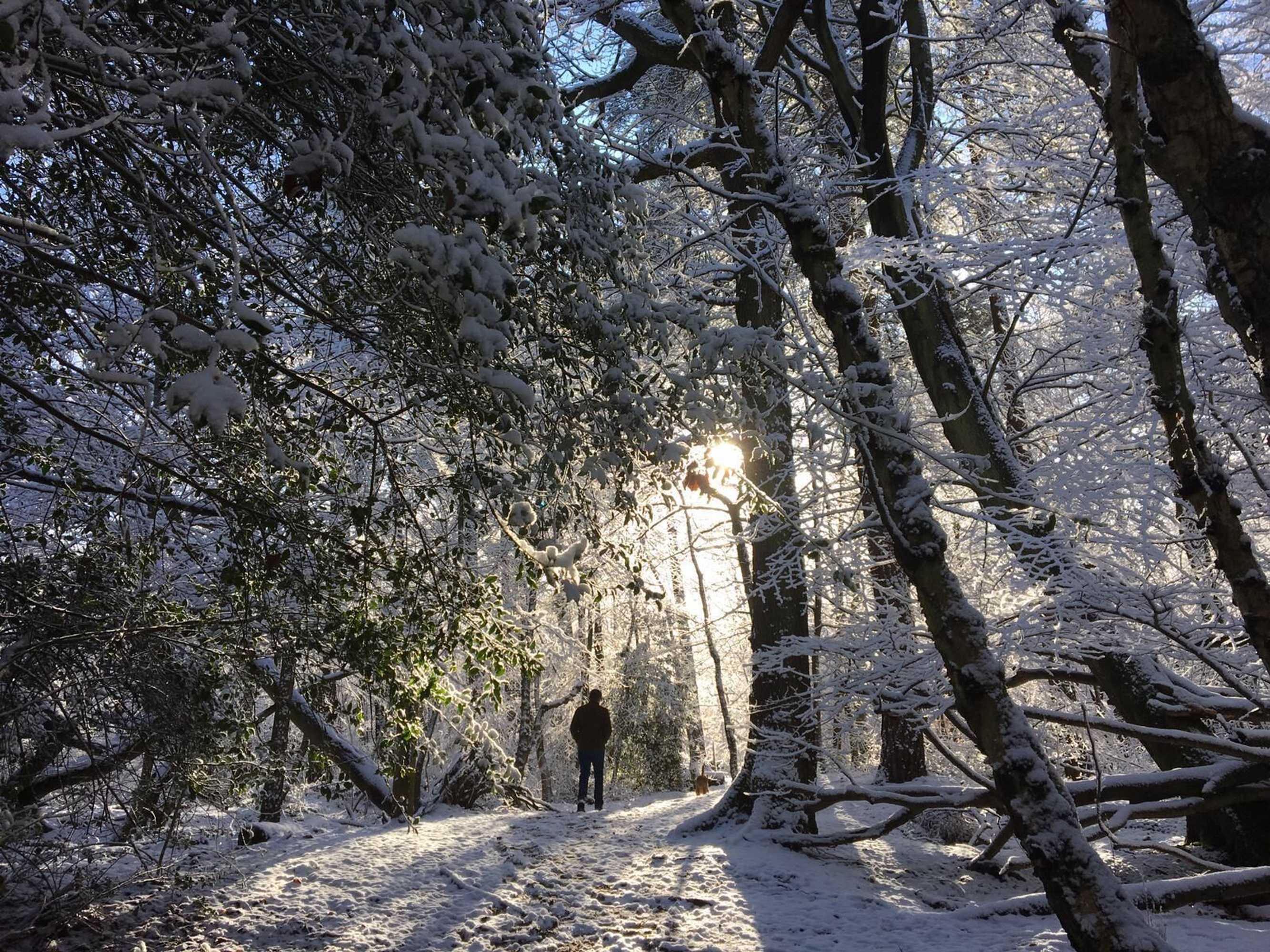 Gift card for Oak House Farm