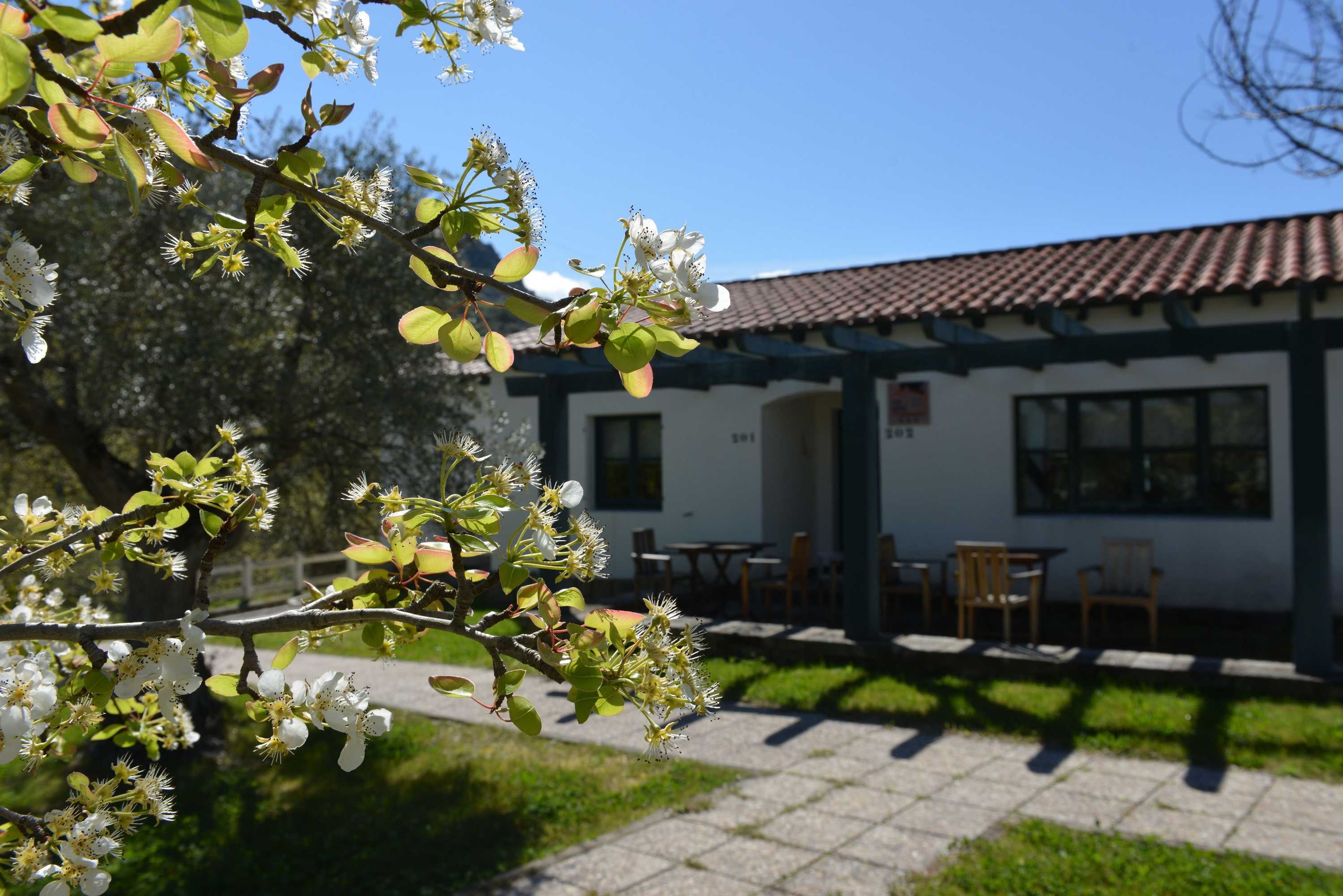 Gift card for Casas Rurales Aldeaduero