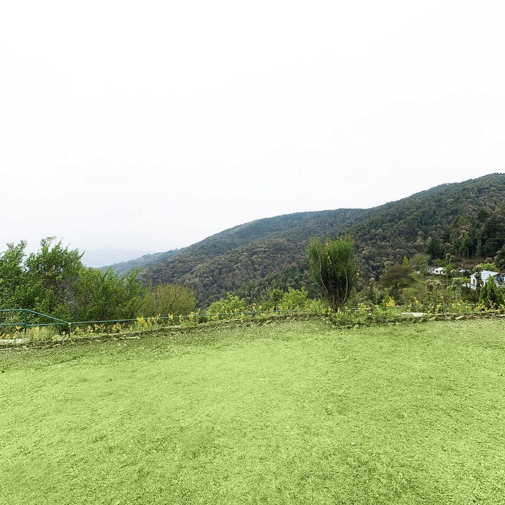 Gift card for The Ayali Fernhill Resort, Chail Gift card for The Ayali Fernhill Resort, Chail