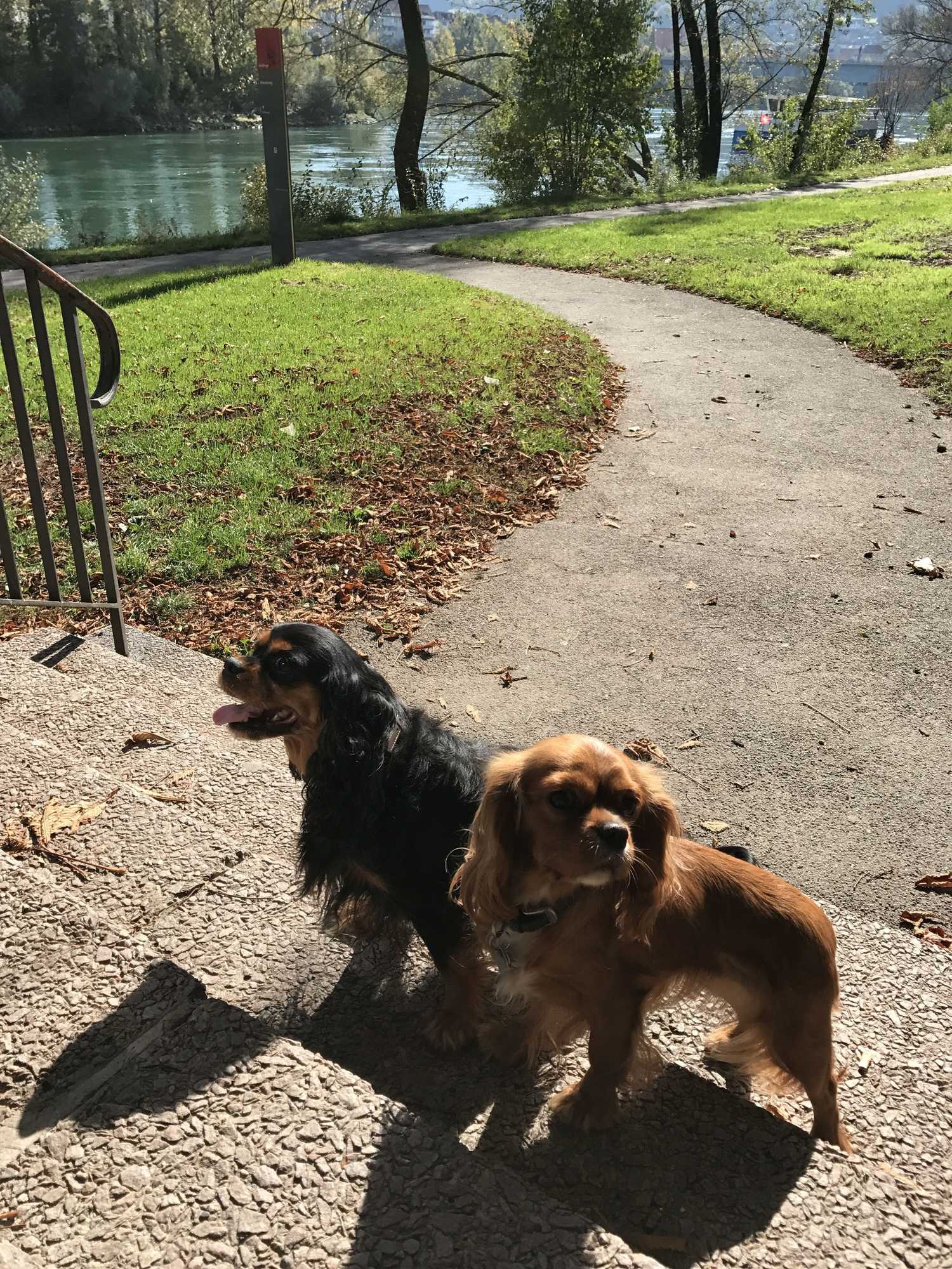 Gift card for Sapia Hotel Rheinsberg