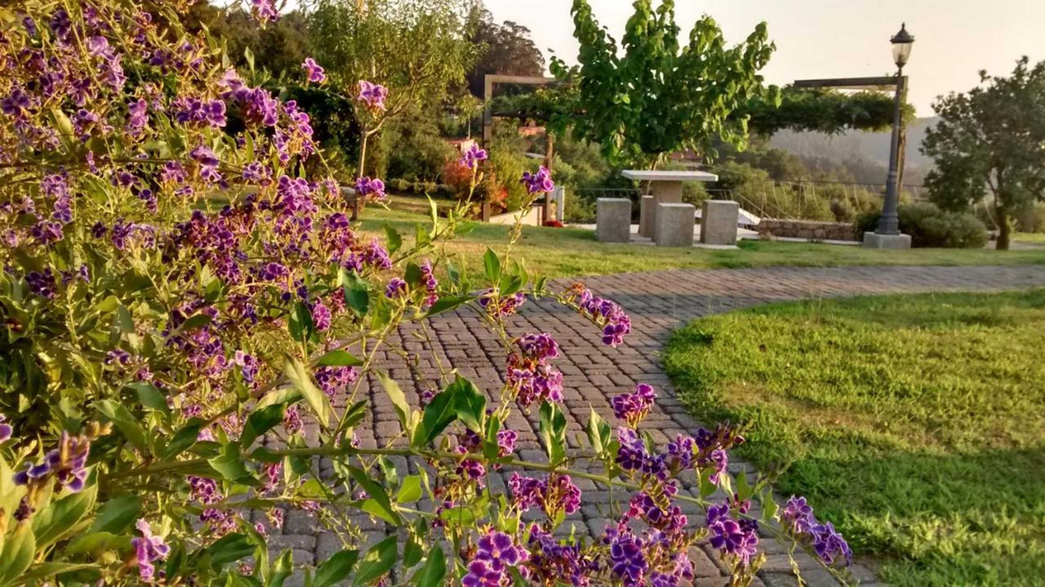 Gift card for Eira Dos Canastros