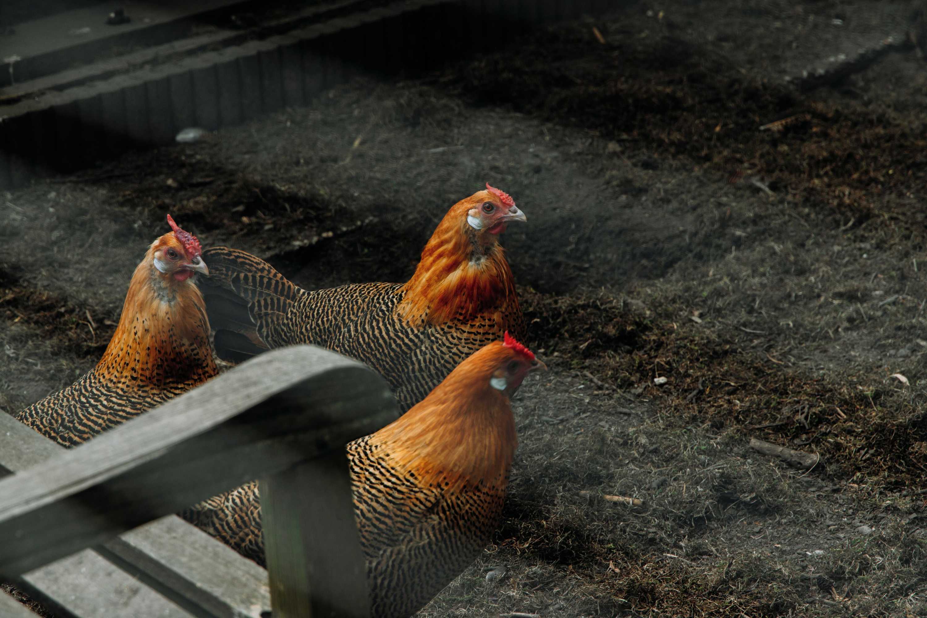 Gift card for Boutique B&b Oud Aa