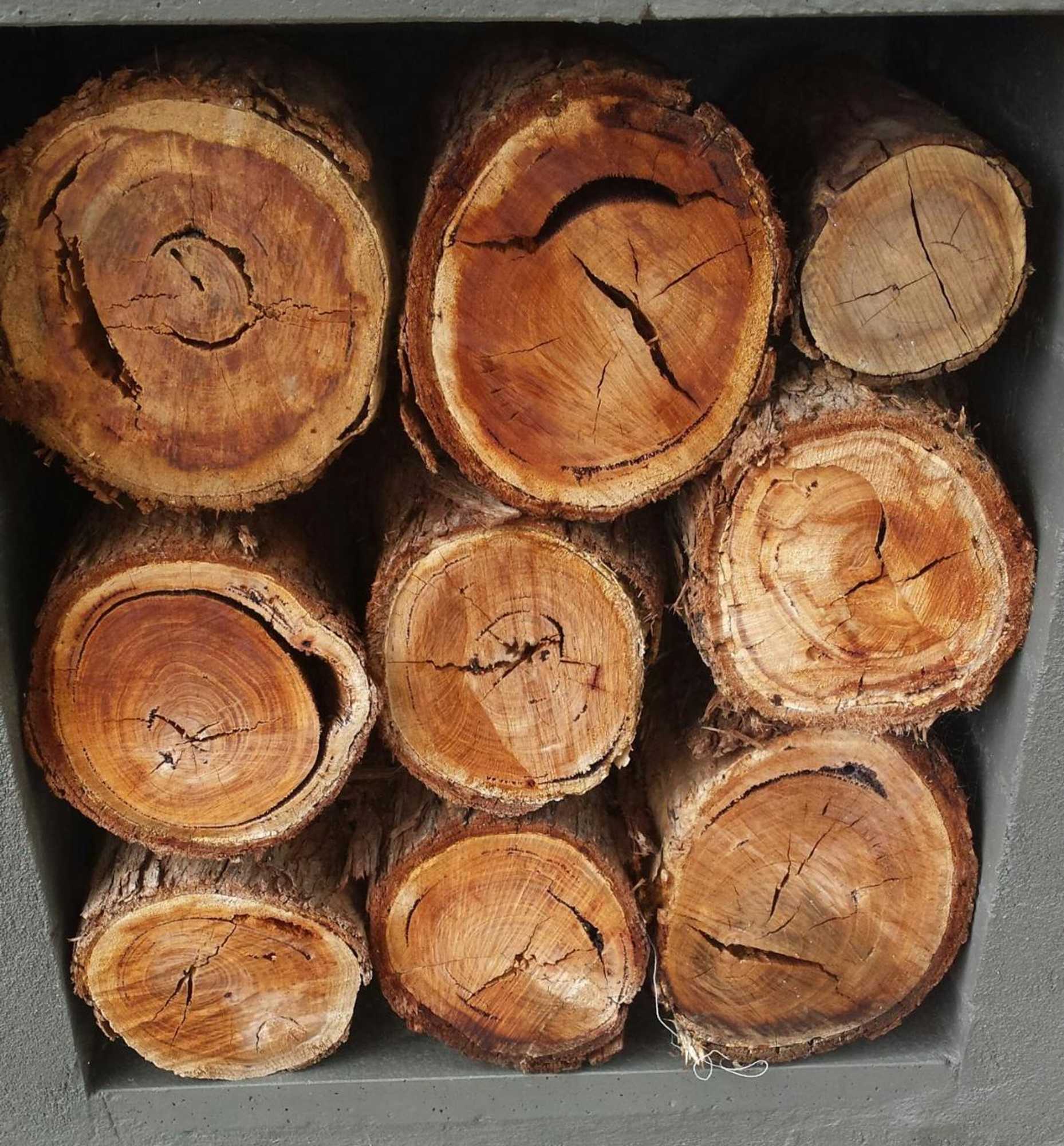 Gift card for Port Mccrae