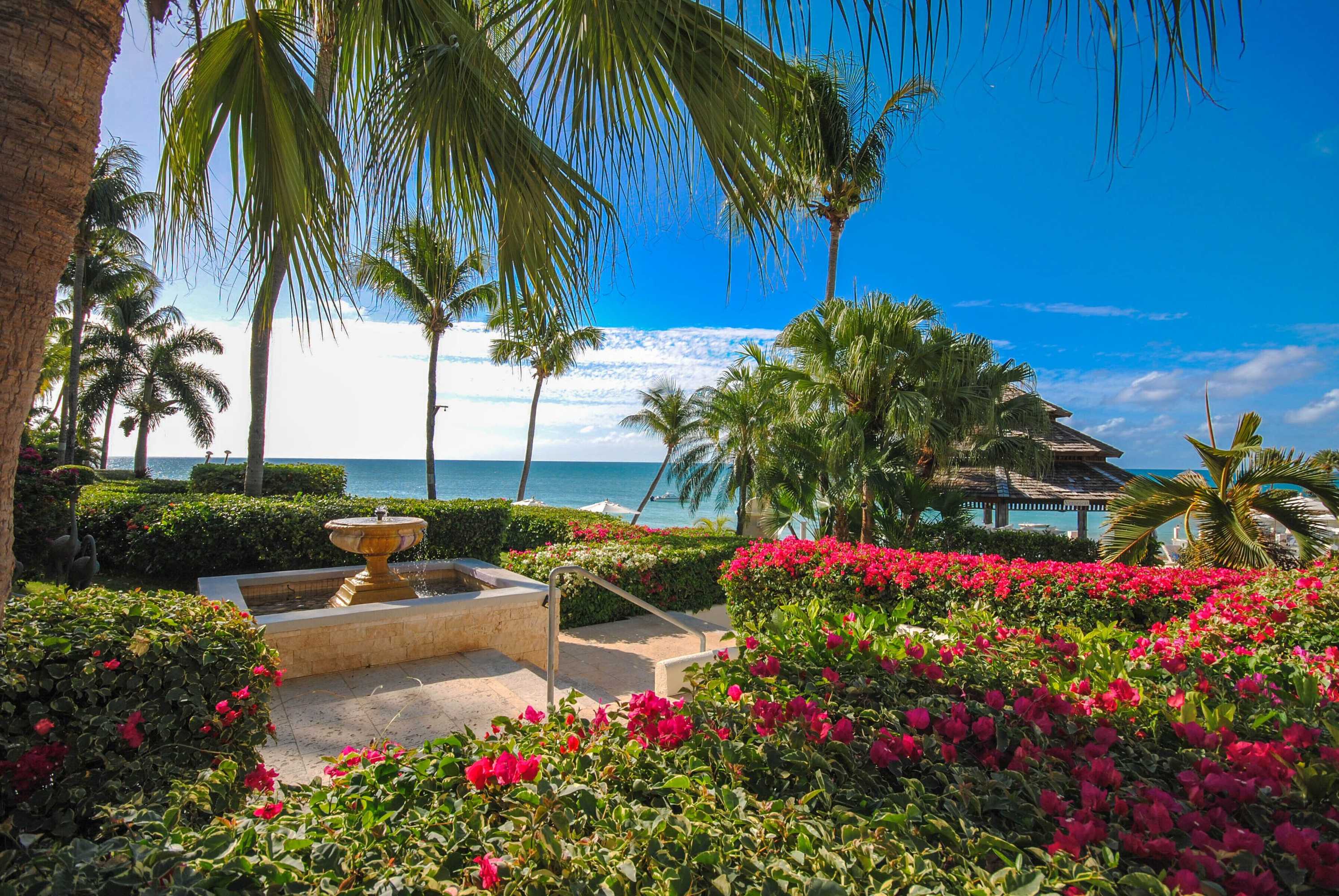 Gift card for The Cove Suites at Blue Waters Resort And Spa Gift card for The Cove Suites at Blue Waters Resort And Spa