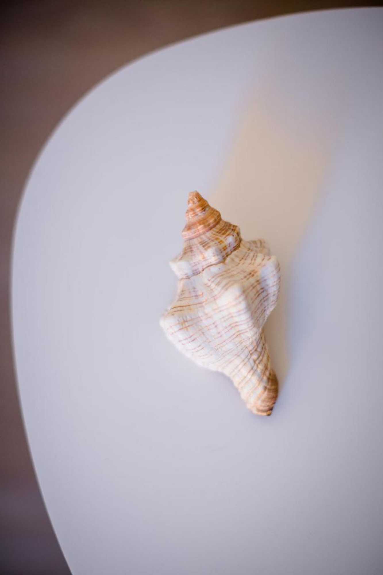 Gift card for Hotel Conchiglia